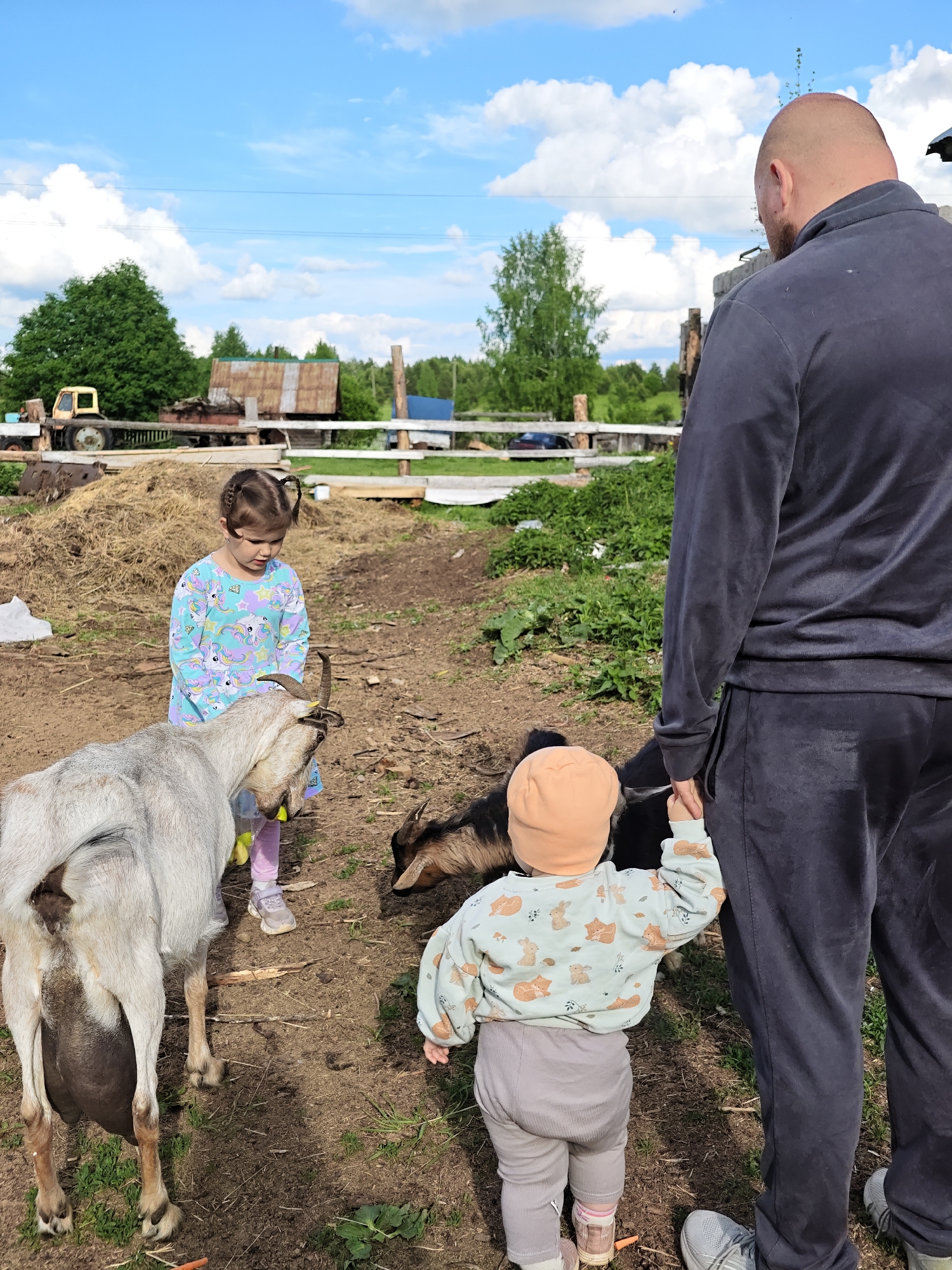 The image shows a rural scene, likely in the vicinity of Zhigalki, Russia, given the provided location. A young girl with braided pigtails, wearing a unicorn-patterned dress, stands near a light-colored goat with large horns and an engorged udder. A toddler in a peach-colored hat and animal-printed sweater holds the hand of an adult male. The man is tall and bald, wearing a dark gray sweatsuit. The background reveals a farmyard setting with a tractor, some wooden structures, and scattered vegetation. The sky is blue with some scattered clouds. The ground appears to be dirt and sparse grass. There are two goats, the goat with large udder, and black goat in front of adult and toddler. The interaction suggests the children are being introduced to or are familiar with the goats.