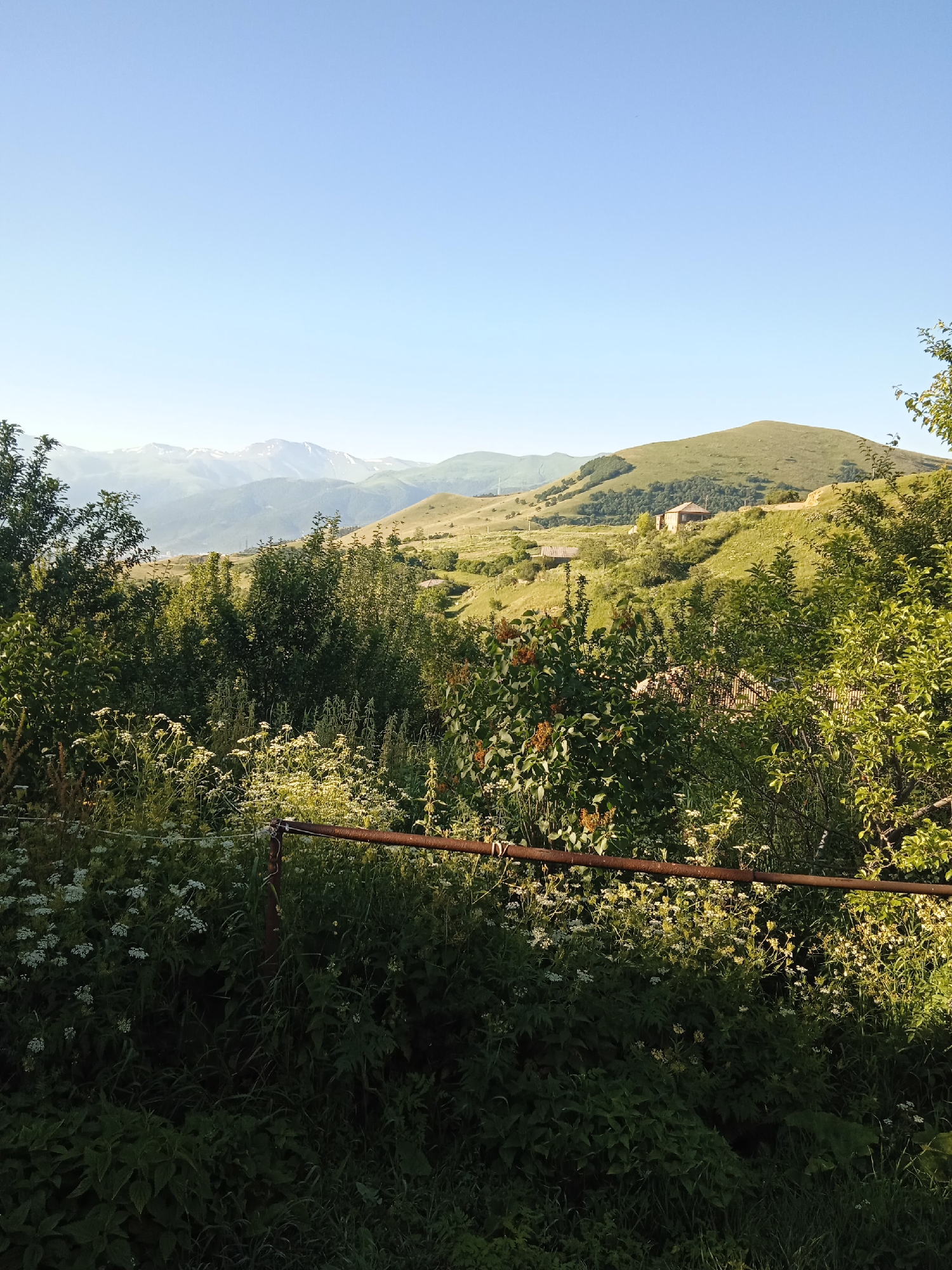 This image depicts a serene, verdant landscape under a clear blue sky, likely from Aznvadzor, Armenia. In the foreground, a dense thicket of green foliage and small white wildflowers dominates, partially obscuring a rusty metal pipe that runs horizontally across the frame. Beyond this vegetation, the terrain slopes gently upwards, revealing a rolling green hillside dotted with scattered trees. Further in the distance, a cluster of traditional stone houses is visible on the slope, suggesting a small village or rural settlement. The background is characterized by majestic, snow-capped mountains, their peaks softened by a hazy atmosphere, against the vast expanse of the sky. The overall impression is one of natural beauty and tranquility, with a hint of human presence integrated into the mountainous environment.