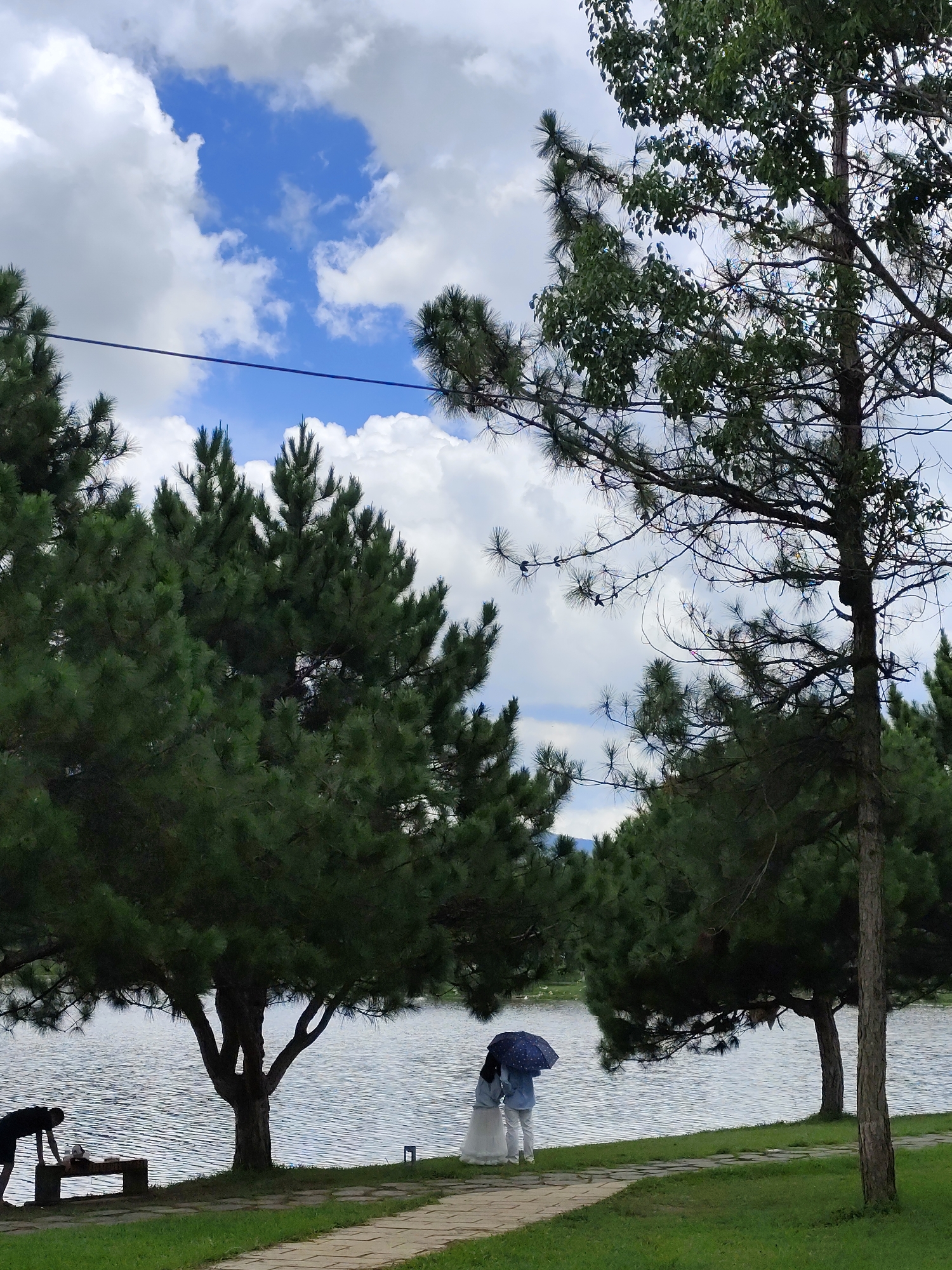 The image depicts a serene outdoor scene by a lake, likely in Da Lat, Vietnam, given the presence of pine trees and the general ambiance. The foreground features a paved walkway and lush green grass. Several large pine trees dominate the landscape, with their dark green foliage contrasting against a bright sky filled with fluffy white clouds and patches of blue.
In the middle ground, a tranquil lake stretches across the frame, its surface rippled by a gentle breeze. Along the edge of the lake, two individuals stand under a dark blue umbrella, suggesting a light rain or the need for shade. One person, wearing a white dress, appears to be a bride, while the other, dressed in a blue shirt and white pants, could be the groom or a companion. They are positioned close together, facing away from the camera, engaged in a quiet moment.
To the left, a wooden bench is visible near another pine tree. A person in a dark outfit is bent over the bench, interacting with something on its surface. Further to the right, another tree trunk stands prominently, its bark textured and brown. The overall atmosphere is peaceful and romantic, hinting at a pre-wedding photoshoot or a special occasion.
