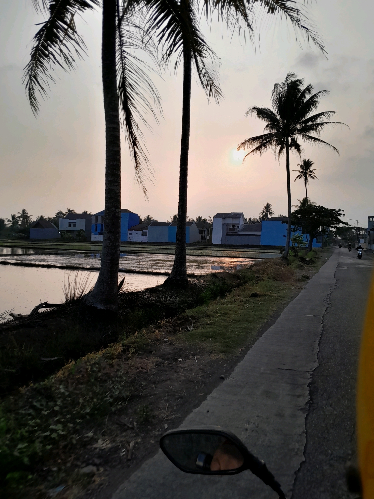 The image depicts a rural scene in Jatirejoyoso, Indonesia, at dusk. In the foreground, a motorcycle mirror is visible, reflecting a person's face and a watch. The motorcycle is traveling on a paved road that runs alongside a flooded rice paddy. Several palm trees are scattered throughout the landscape, with two tall ones dominating the left side of the frame. In the background, a row of houses with white and blue facades lines the edge of the rice paddy. The sun is setting, casting a warm glow on the sky and reflecting on the water's surface. A few motorbikes are seen in the distance on the road. The overall atmosphere is tranquil and idyllic, characteristic of a countryside setting.