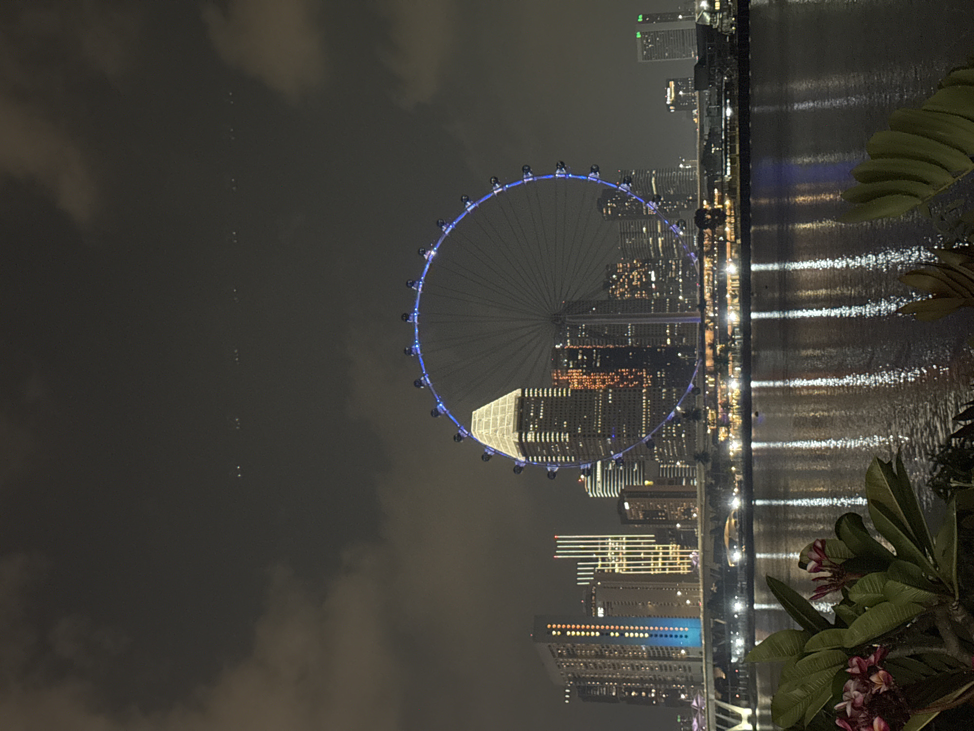 A nighttime photograph captures the Singapore Flyer, a large Ferris wheel, illuminated with blue lights, situated in the city of Singapore. The Singapore Flyer is positioned over a body of water, reflecting the lights of the surrounding cityscape. In the foreground, lush green foliage with pink flowers is visible, adding a touch of nature to the urban scene. The background features a cluster of illuminated skyscrapers, highlighting the modern architecture of Singapore. The sky is dark and cloudy, with some distant lights suggesting more aircraft or distant city lights. The overall atmosphere is serene and vibrant, showcasing the beauty of Singapore at night.