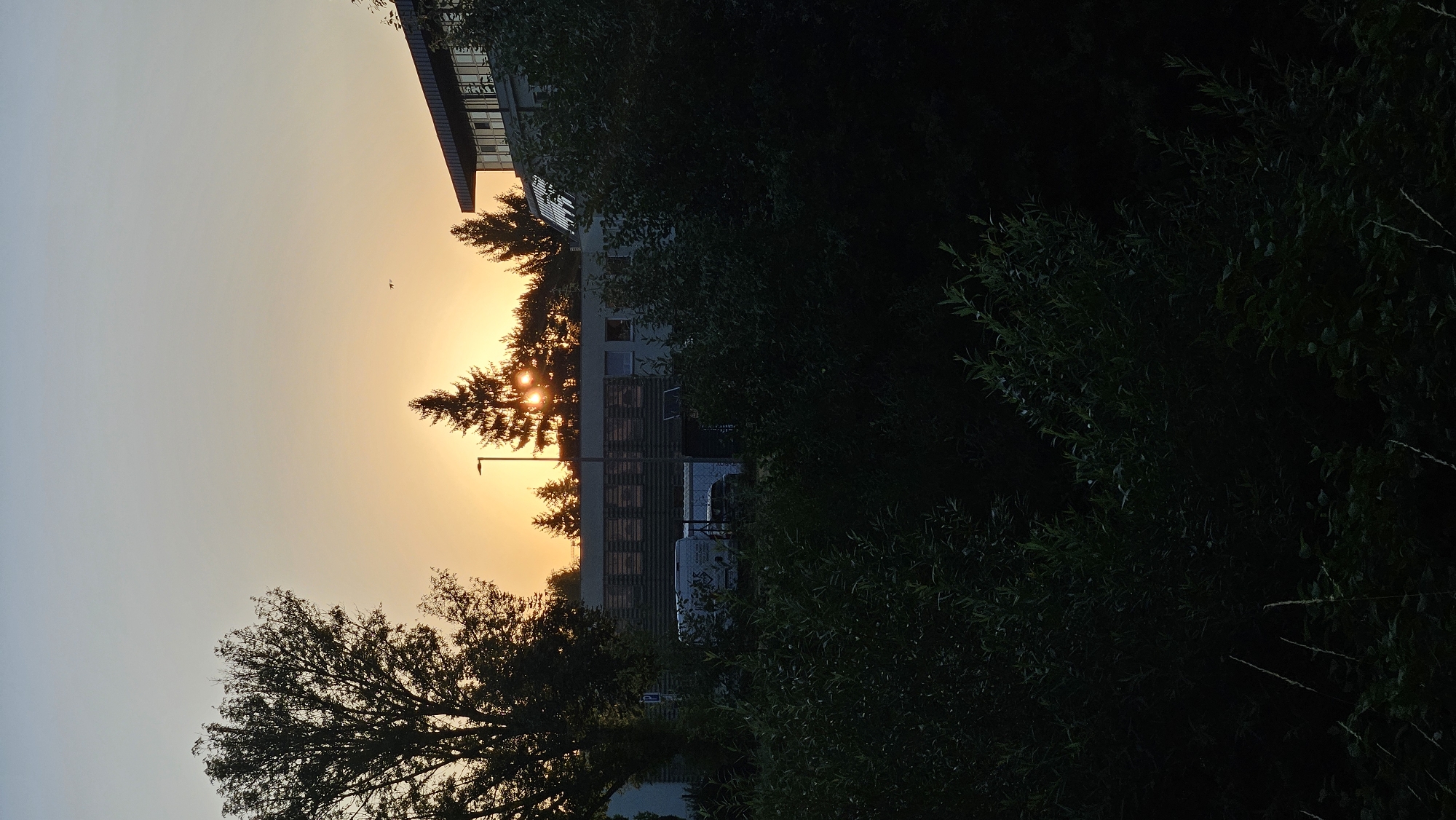 The image depicts a sunset scene with a building and trees in the foreground. The sky is a gradient of orange and yellow near the horizon, transitioning to a pale blue at the top. A building with multiple windows and a modern architectural style is visible in the mid-ground. Trees, some evergreen and some deciduous, are scattered throughout the scene. The foreground is dominated by dark, leafy vegetation. The sun is low on the horizon, partially obscured by trees, casting a warm glow. There is a street lamp to the left of the sun. A small bird or aircraft is visible in the sky. The overall impression is one of a peaceful evening setting, possibly in a suburban or industrial area of Prešov, Slovakia, given the presence of the building which could be an office or factory. No people or specific actions are discernible.