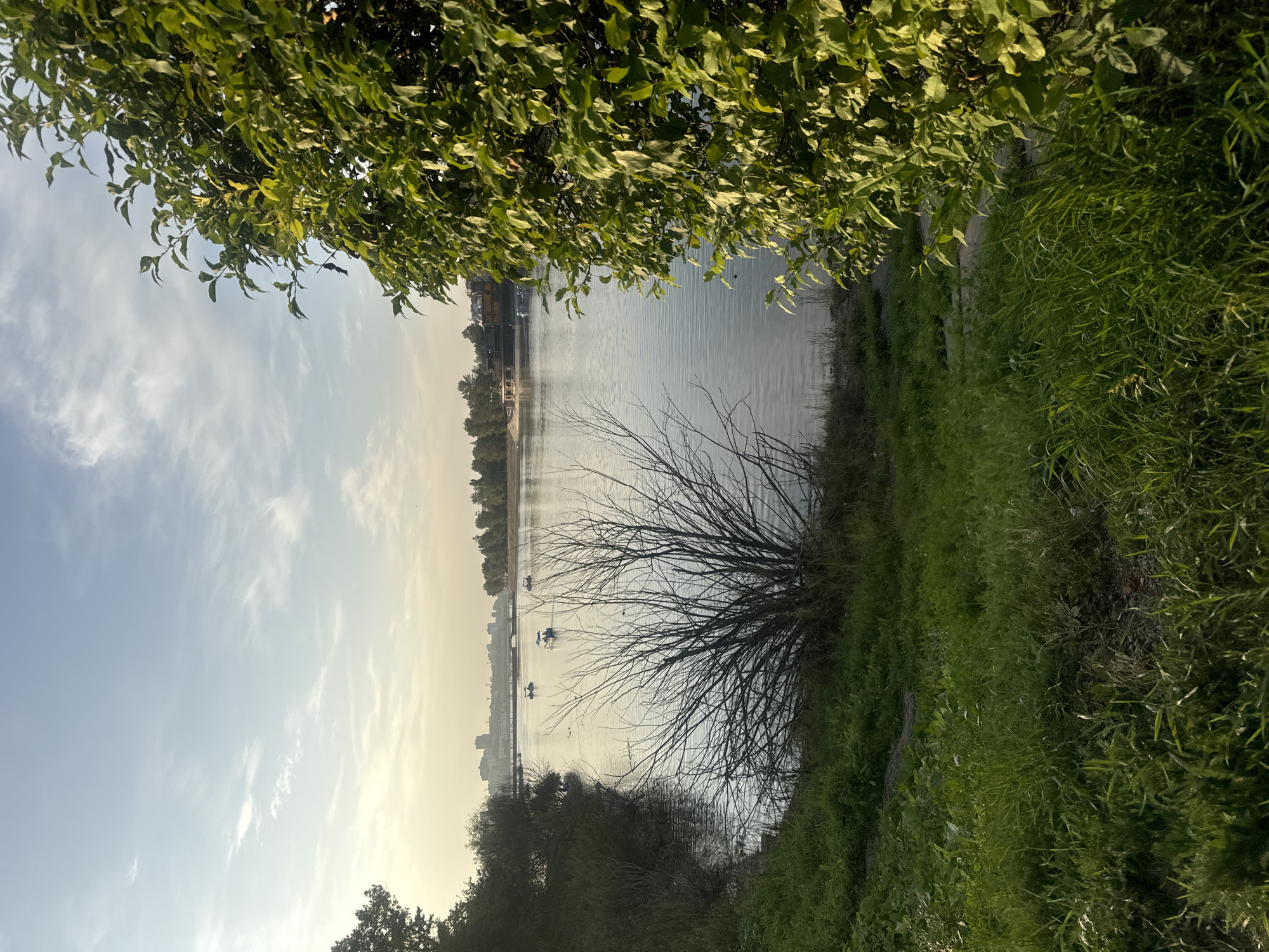 The image depicts a serene river scene at what appears to be late afternoon or early evening, with the sun casting a warm glow on the water and sky. The foreground is dominated by lush green grass sloping down towards the riverbank, interspersed with a few bare, thorny branches of a shrub. On the right side of the frame, a large, leafy tree with vibrant green foliage partially obscures the view.
The river itself is calm and reflects the soft light of the sky. Several small paddle boats are visible on the water, with people in them enjoying the tranquil setting. In the distance, across the river, the cityscape of Irkutsk, Russia, can be seen. Buildings and a bridge are discernible against the hazy horizon, suggesting an urban backdrop to this natural expanse. The sky is a pale blue, with wispy white clouds scattered across it, enhancing the peaceful atmosphere.
The image captures a moment of leisure and natural beauty within the urban environment of Irkutsk.