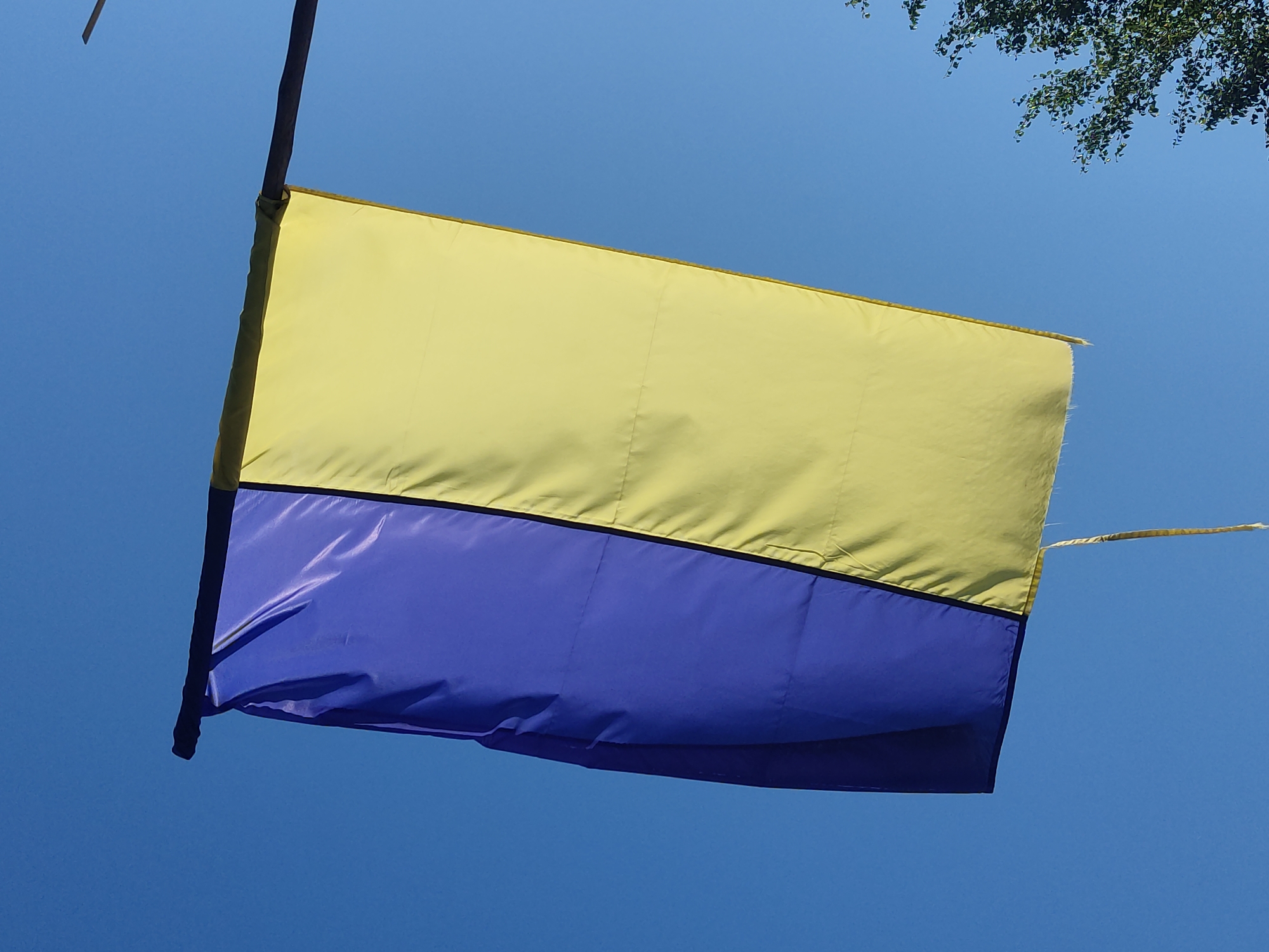 A Ukrainian flag, predominantly blue and yellow, is displayed against a clear blue sky. The flag is attached to a dark pole that extends horizontally across the top of the frame. The flag appears to be made of fabric and is slightly creased, with the blue section on the left and the yellow on the right, suggesting it is hanging vertically. A thin yellow rope hangs from the bottom edge of the flag. The lower right portion of the image shows the branches and leaves of a tree. The scene is set outdoors, likely in Radisne, Ukraine, given the flag. There are no people visible in the image.