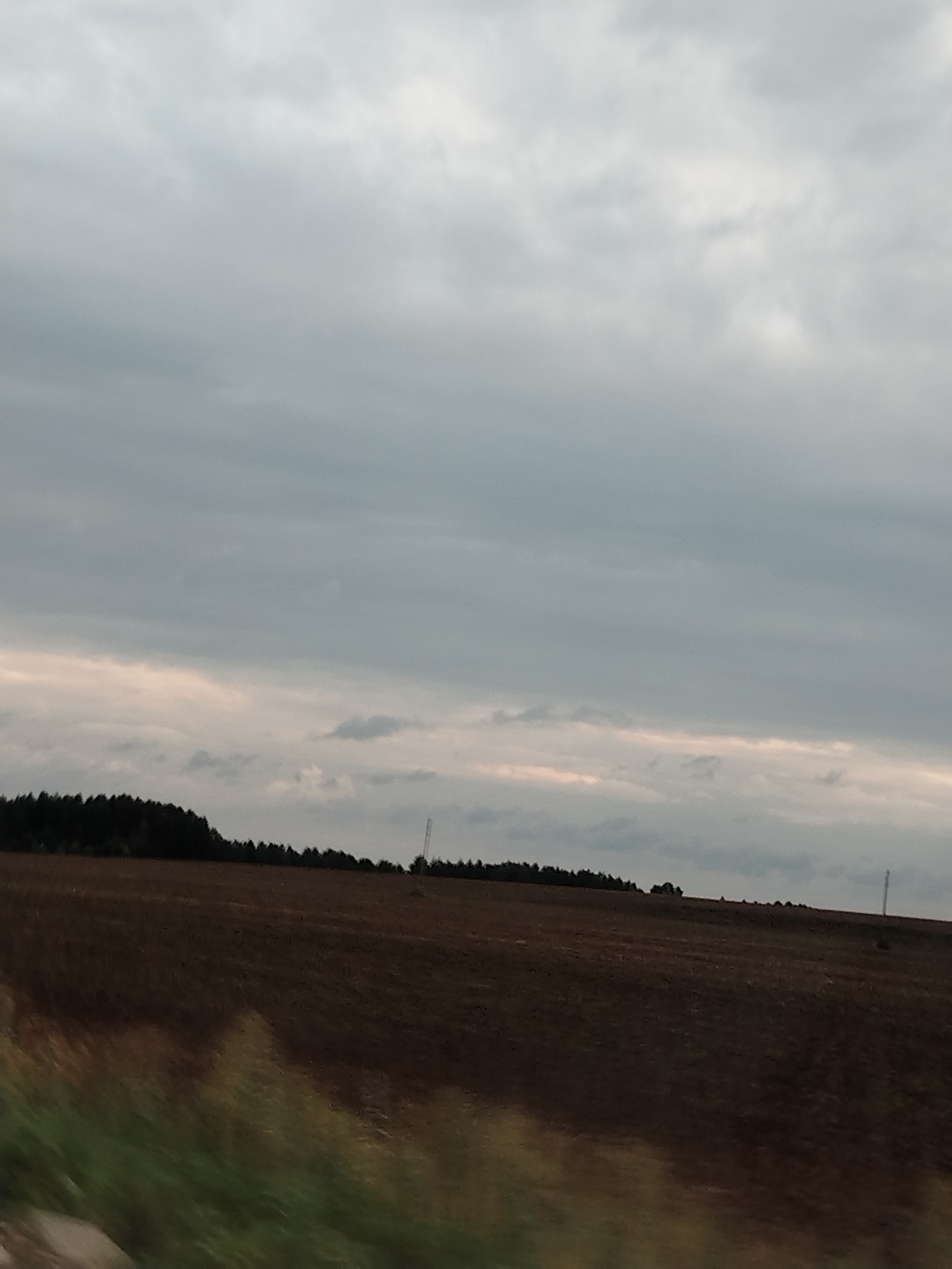 The image captures a vast, freshly plowed field under a heavily clouded sky. The soil is a rich, dark brown, with visible rows indicating recent agricultural activity. A dense line of dark green trees forms a horizon along the distant left side of the frame, with sparse vegetation and a solitary utility pole visible further to the right. In the foreground, a blurry band of green and yellow suggests vegetation or possibly a roadside embankment. The overall atmosphere is subdued and overcast, characteristic of a cloudy day. This scene is located in the city of Niva, Russia.
