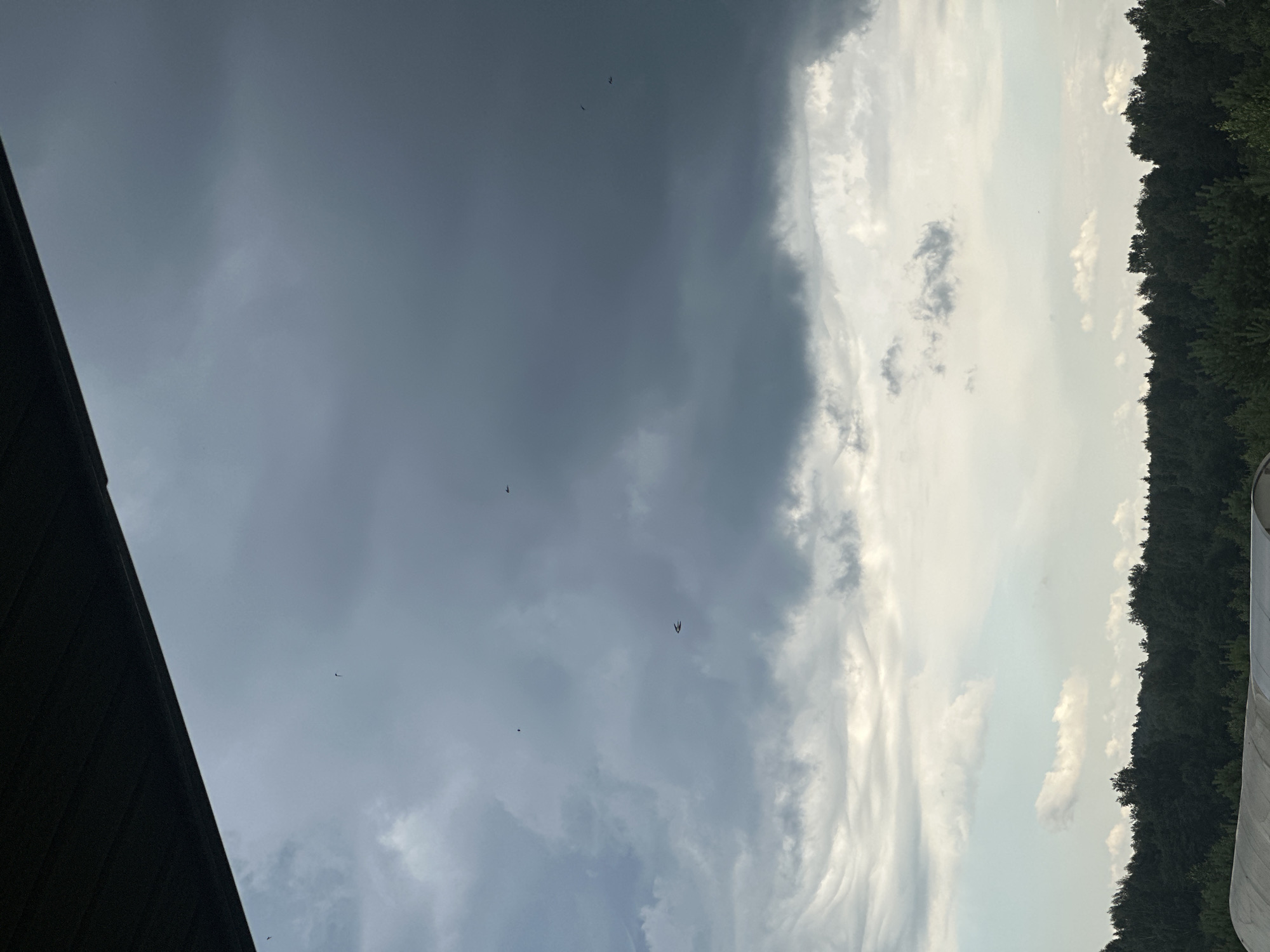 A low-angle outdoor shot captures a dramatic sky with dark, heavy storm clouds dominating the upper half of the frame, contrasting with lighter, scattered clouds below. A dark, horizontal structure, possibly an overhang or roofline, is visible at the very top. Several small, dark shapes, likely birds, are scattered throughout the sky. The lower portion of the image shows a dense line of dark green trees against a bright, overcast sky. In the foreground, a portion of a white, arched structure, possibly a greenhouse or tunnel, is visible. The scene appears to be located in a rural or semi-rural setting, consistent with the outskirts of Kharnavy, Russia.