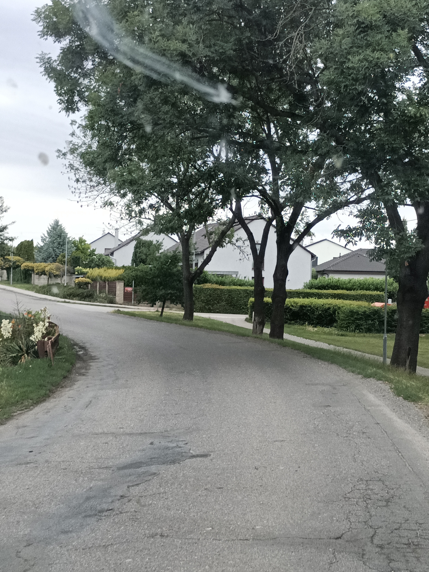 This media file depicts a view of a residential street in Svémyslice, Czechia. The foreground is dominated by an asphalt road with some cracks and dark stains, suggesting wear and tear. To the left of the road, there is a patch of grass with some white flowers and greenery.
The middle ground features a neatly trimmed hedge lining the properties. Behind the hedge are several modern-style houses with white walls and dark-tiled roofs. Trees are a prominent feature throughout the scene, with large deciduous trees with full green foliage lining the street and the properties. The trees' branches and leaves are dense, creating a canopy effect in some areas. One of the trees in the middle ground has a small red sign attached to it.
The background shows a cloudy sky, indicating overcast weather. The overall setting is a suburban or semi-rural environment, characterized by well-maintained houses, manicured gardens, and mature trees. The scene appears to be captured during the daytime, with diffused light due to the cloudy conditions. There are no people visible in the media file, and the focus is on the landscape and architecture. The image has a slightly hazy quality, possibly due to a lens or window being imperfect or containing water droplets.