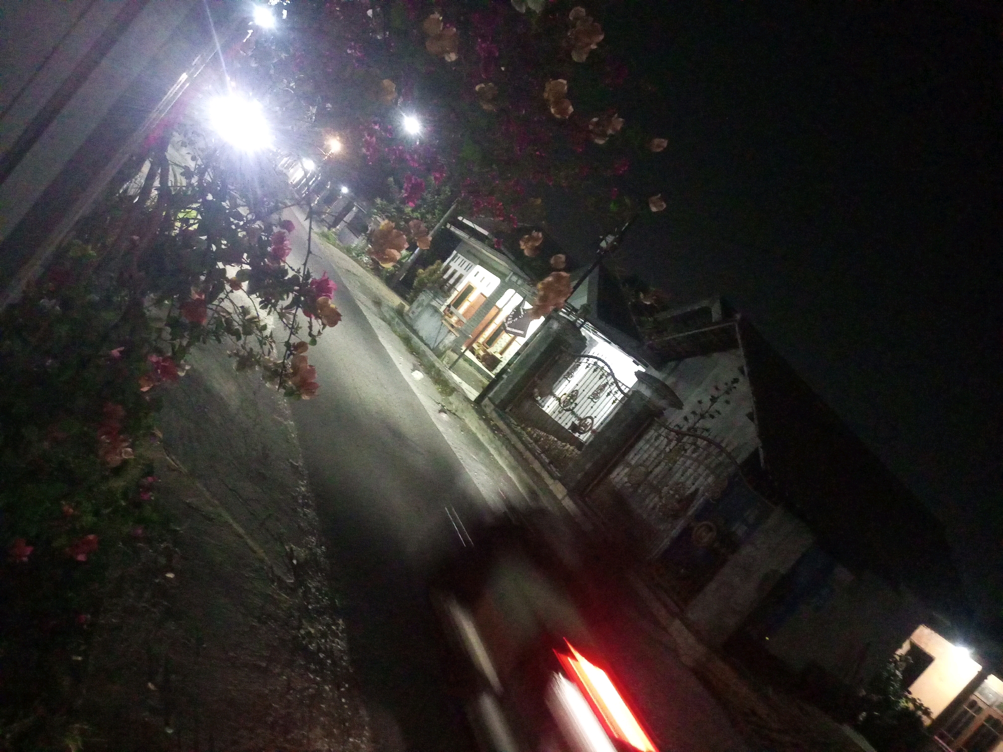 A nighttime, low-angle, wide shot captures a street scene in Ngasem, Indonesia. The street, paved and wet, slopes downward and to the right. On the left, a dark, textured wall runs parallel to the street, partially obscured by lush foliage with pink and yellow flowers. A bright streetlamp illuminates the upper left portion of the scene, casting a glare and creating lens flare.
To the right of the street, a row of houses is visible. The houses are low-rise, with white and brown facades and illuminated windows. One house features a white gate with decorative metalwork. Trees and more flowering plants are interspersed between the buildings and along the street.
In the foreground, two blurred streaks of red and white light suggest moving vehicles, indicating a street with traffic. The overall ambiance is dark and somewhat mysterious, with the streetlights and house lights providing the primary illumination against the night sky. The scene is captured with a wide aperture, creating a shallow depth of field that blurs some elements, especially those in motion.