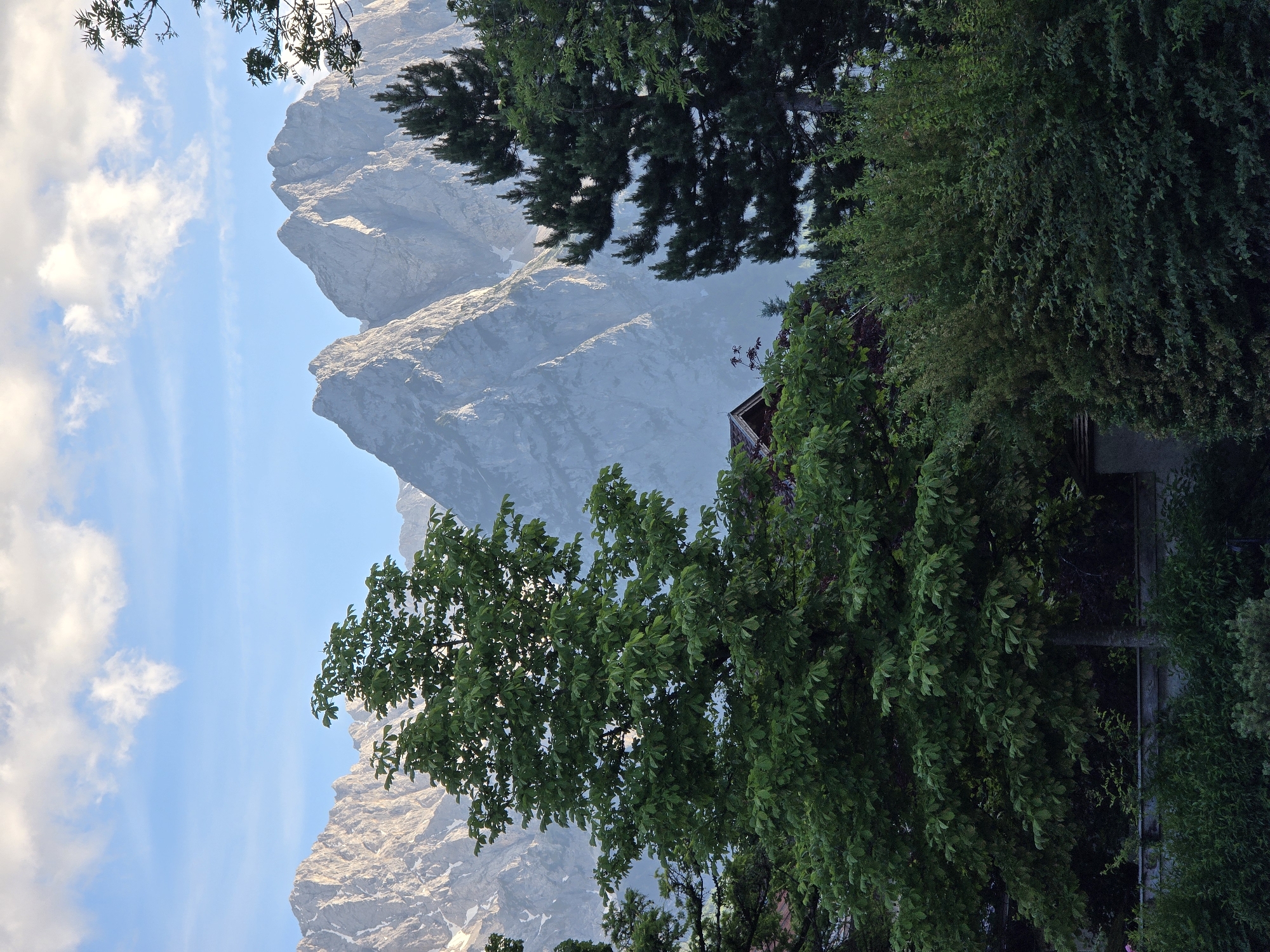 The image captures a scenic view in Garmisch-Partenkirchen, Germany, featuring rugged, snow-capped mountains in the background, likely the Alps. The foreground is dominated by lush green trees and bushes, with the leaves of a large deciduous tree in the center of the frame being particularly prominent. A portion of a building, possibly a house with a dark roof, is visible through the foliage on the left side. The sky above is a clear blue, punctuated by scattered white clouds. The overall scene suggests a natural landscape with hints of human habitation, likely taken on a clear day.