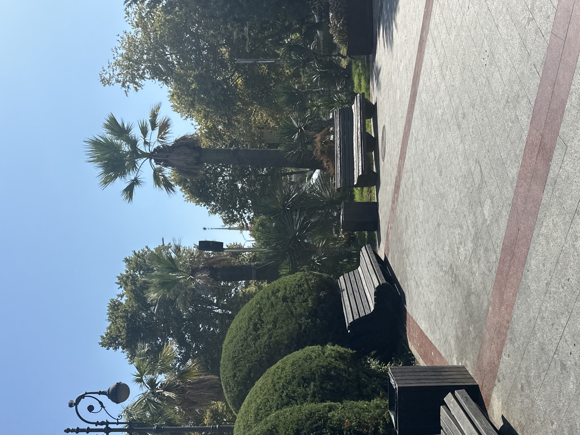 This is a photograph of a park in Sochi, Russia, on a clear day with a bright blue sky. The foreground features a paved walkway with a patterned surface and a red accent strip. Two wooden park benches are visible, one to the left and another in the middle-right of the frame, both unoccupied. To the left, there are large, rounded, manicured evergreen bushes, and behind them, a traditional lamppost with a rounded lantern. In the background, there are various trees, including several palm trees of different heights, and some spiky, low-lying plants. A trash receptacle is positioned between the left bench and the middle-right bench. In the distance, a tall, slender structure, possibly a tower or spire, is visible above the trees. The overall impression is a well-maintained urban green space.