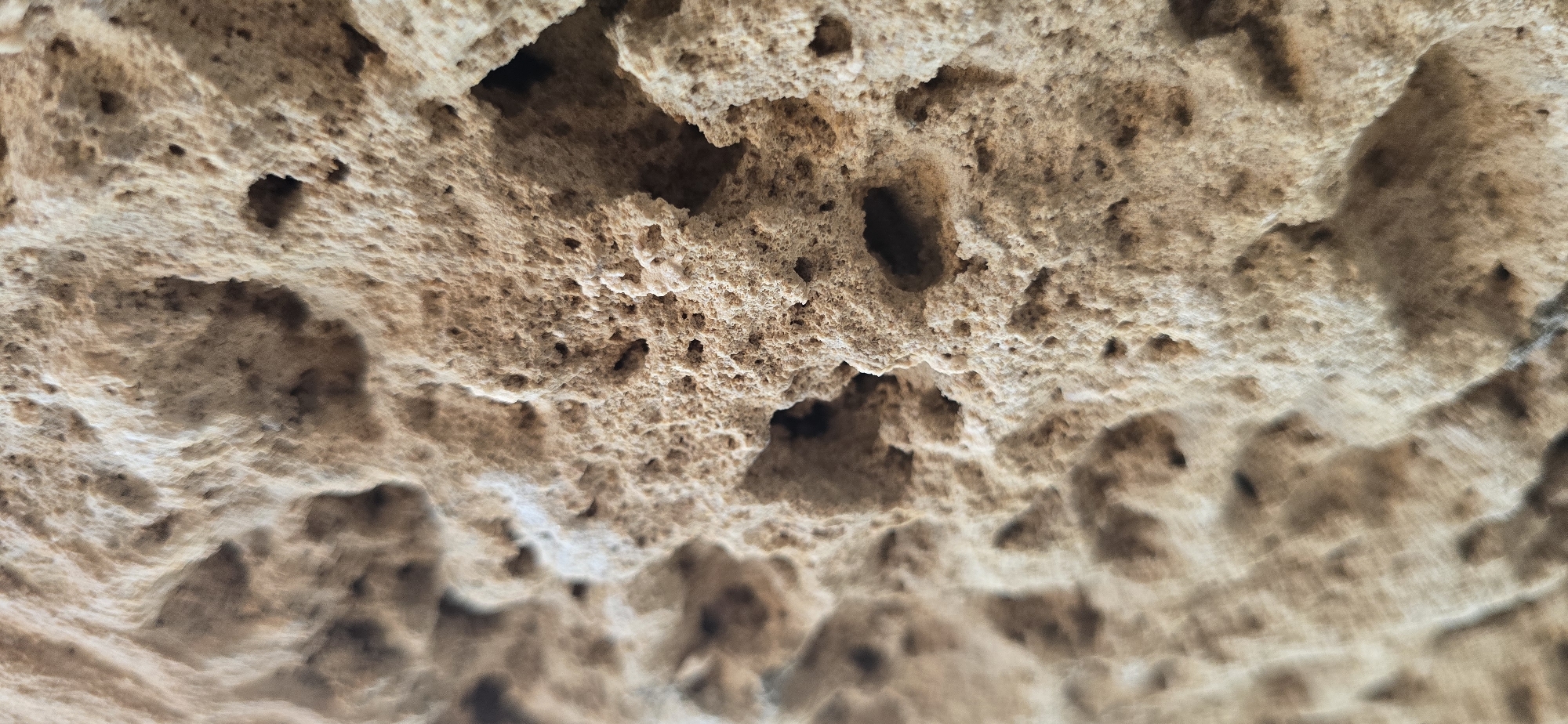 The image is a close-up, high-angle, full shot of a porous, light brown, rough-textured stone wall. The stone has numerous small holes and indentations, giving it a honeycomb-like appearance. The lighting casts subtle shadows that emphasize the texture and depth of the material. The stone appears weathered and possibly ancient. No people, animals, or other objects are visible in the frame. The background is blurred and indistinct, suggesting a shallow depth of field. This image likely depicts a section of the stone fortifications found in the Old City of Jaffa, which is part of Tel-Aviv, Israel.