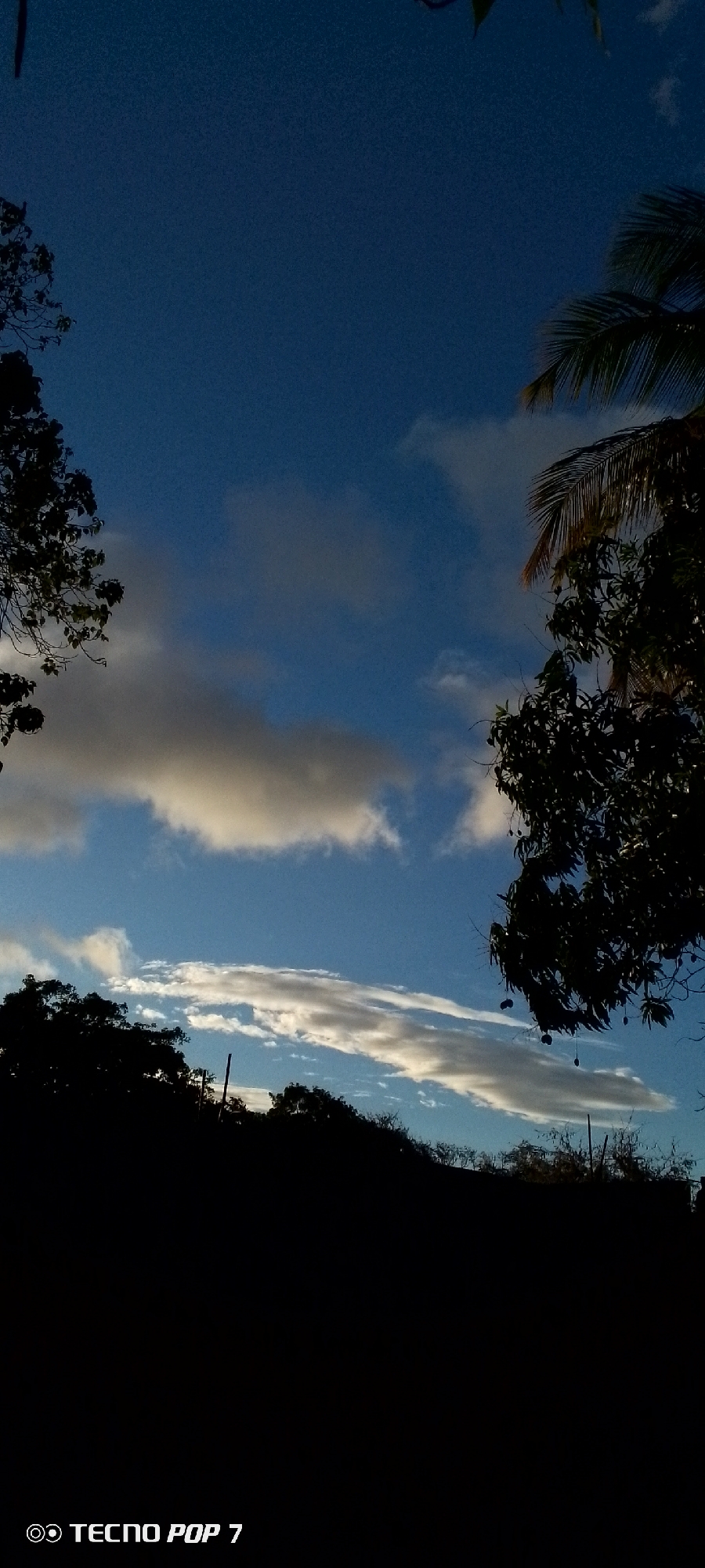 The image is a low-angle view of the sky with clouds, framed by trees on either side, taken in Altagracia, Venezuela. The sky is a gradient of blue, transitioning from a darker shade at the top to a lighter shade closer to the horizon. Two distinct layers of clouds are visible. The lower layer is a thin, elongated band, and the upper is larger and billowy. Tree silhouettes are visible on the lower right and lower left. A palm tree is visible on the upper right. The bottom of the image is mostly black. The text "TECNO POP 7" appears in the lower-left corner.
