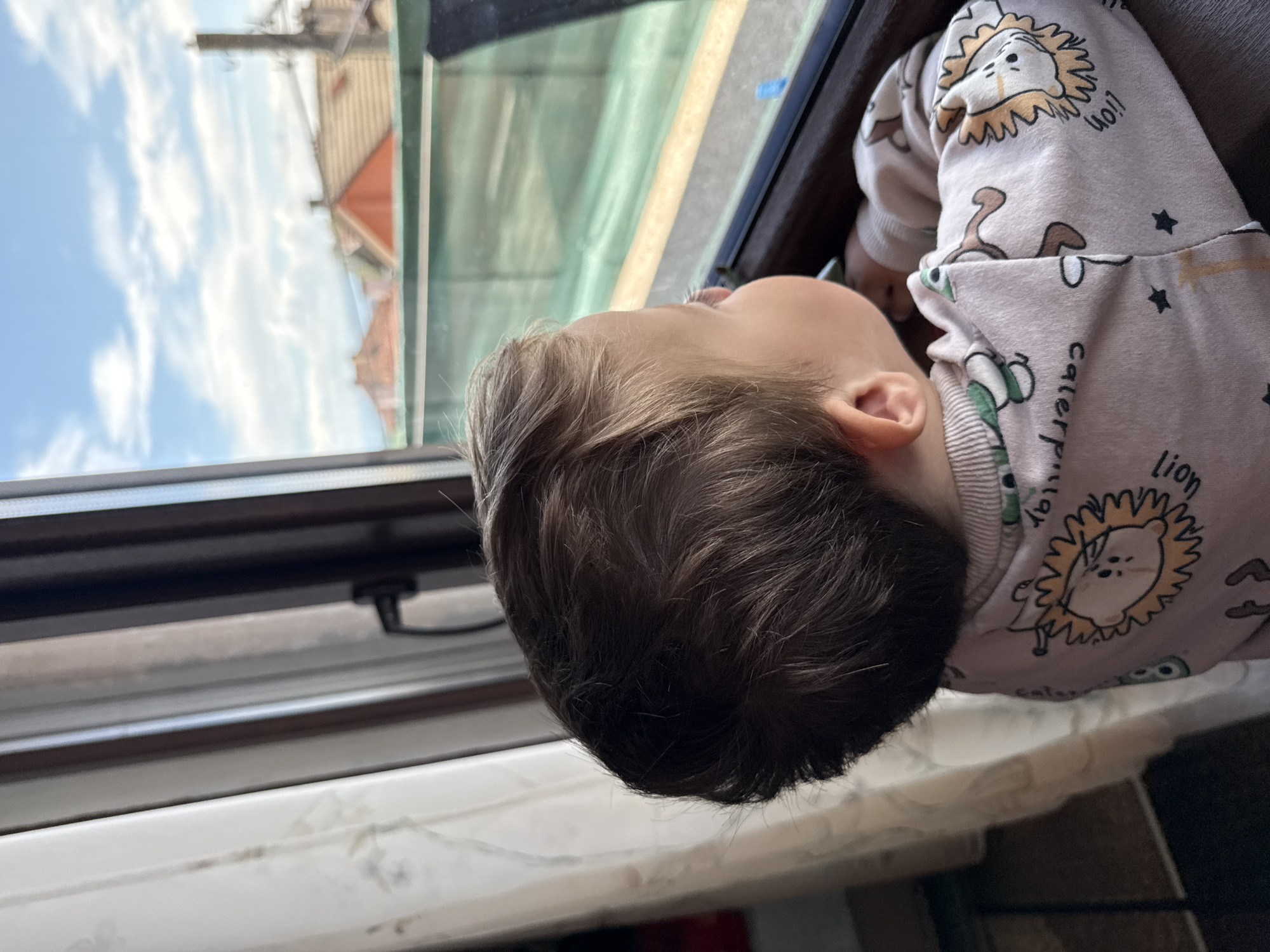A young child is looking out of a window. The child has short brown hair and is wearing a light pink sweatshirt with a lion design. The window frame is brown, and the glass reflects the sky and buildings outside. The buildings reflected in the glass appear to be residential, with one having a red roof. The window is on a white frame, and the environment suggests an indoor setting. The orientation of the image is rotated to the side. Given the image, the location cannot be definitively determined to be Sofia, Bulgaria. More context or information would be needed to confirm the location.