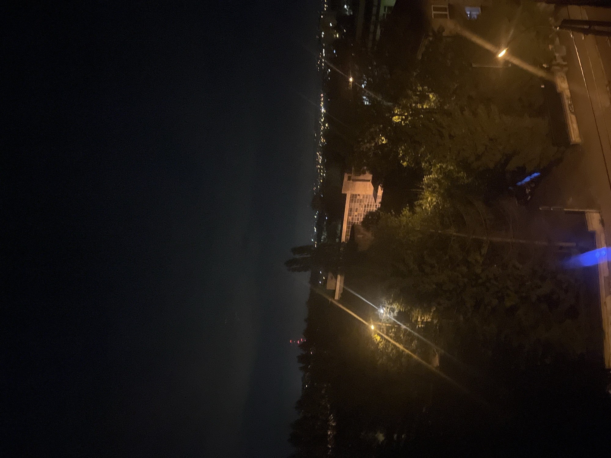 This is a nocturnal photograph captured from a high vantage point, looking out over an urban or suburban landscape. The image is dominated by a dark, black sky filling the upper portion. Along the distant horizon, a scattering of numerous small, twinkling artificial lights suggests a sprawling city or town. Below this distant illuminated line, the mid-ground appears as a darker mass, likely land covered in dense trees or hills, with a few faint red lights visible, possibly from communication towers or distant structures.
The foreground, which occupies the lower part of the frame, features lush, dark green foliage from trees and bushes, partially illuminated by artificial light. Several bright streetlights cast a warm, yellowish glow and produce distinct lens flares. A prominent light-colored building, possibly white or beige, with multiple windows, stands out in the mid-right. Another darker building is partially visible. In the lower right corner, a striking bright blue light source is present, contrasting with the warm streetlights. A wooden pole or similar vertical structure is also discernible in the immediate foreground. The scene is static, with no discernible activity or people. The low-light conditions contribute to some visible digital noise in the darker areas. No text is visible in the image.