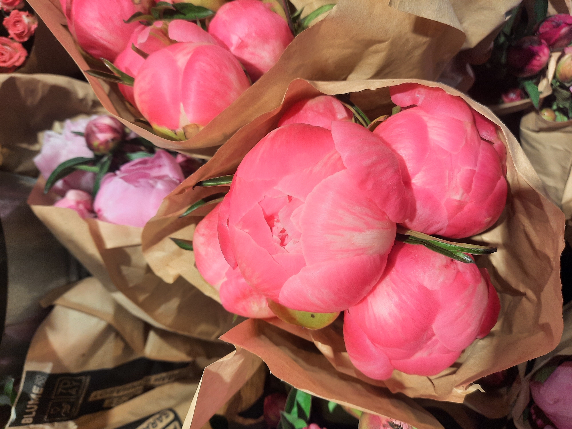 The image shows a close-up, overhead view of several pink peonies wrapped in brown paper. The peonies are in various stages of bloom, with some appearing as tightly closed buds and others beginning to open. The brown paper packaging is crumpled and forms a natural backdrop for the flowers. In the upper left corner, a portion of a black and white label is visible, with the word "BLUME" and other text that appears to be in German. The lighting is soft and natural, highlighting the delicate texture of the petals. No people are visible in the image. The overall impression is one of fresh, vibrant flowers ready for sale. The mention of Rosenheim, Germany in the prompt suggests this scene could be from a flower shop or market stall in that city.
