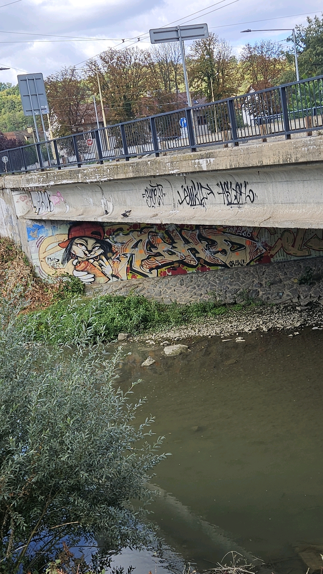 The image shows a concrete bridge over a body of water, likely a river or canal. The underside of the bridge is heavily decorated with graffiti. One section features a cartoonish character with a red baseball cap, big eyes, and exaggerated features, holding a hot dog or sausage. To the right of this character, there are more abstract graffiti tags and lettering in various colors and styles. The bridge is supported by a stone embankment, and there is dense green foliage growing along the bank. In the background, trees with autumn foliage are visible, as well as a road and railing on top of the bridge. The body of water is murky and appears shallow, with some rocks visible on the bottom. The sky is overcast with some clouds. This scene is located in Prešov, Slovakia, under a bridge near a road.
