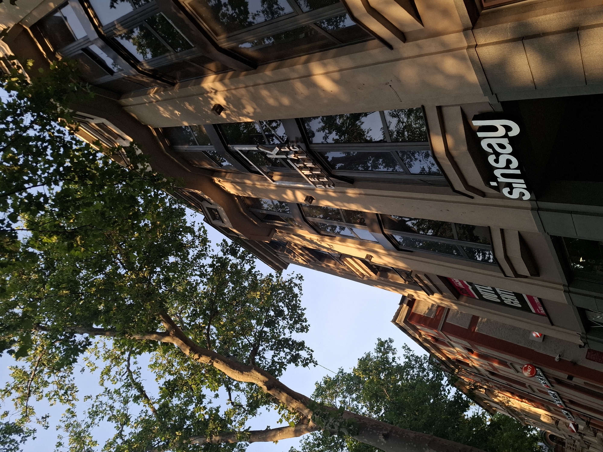 A low-angle shot captures the facades of two buildings and the sun-dappled leaves of a large tree, with a clear blue sky above. The building on the right is a modern, light-colored structure with large, dark-tinted windows that reflect the surrounding trees. A white sign with the word "Sinsay" is prominently displayed above its entrance. Above the "Sinsay" sign, another sign reads "K DENTAL CLINIC". The building on the left is older, with a red and off-white facade and arched windows. One of its windows has a red circular sign with "24/7" on it, and another sign says "OUTLET CENTR". The tree, with its thick trunk and abundant green leaves, casts dappled shadows across both buildings. The lighting suggests it is late afternoon or early evening, with the sun casting a warm glow on the scene.