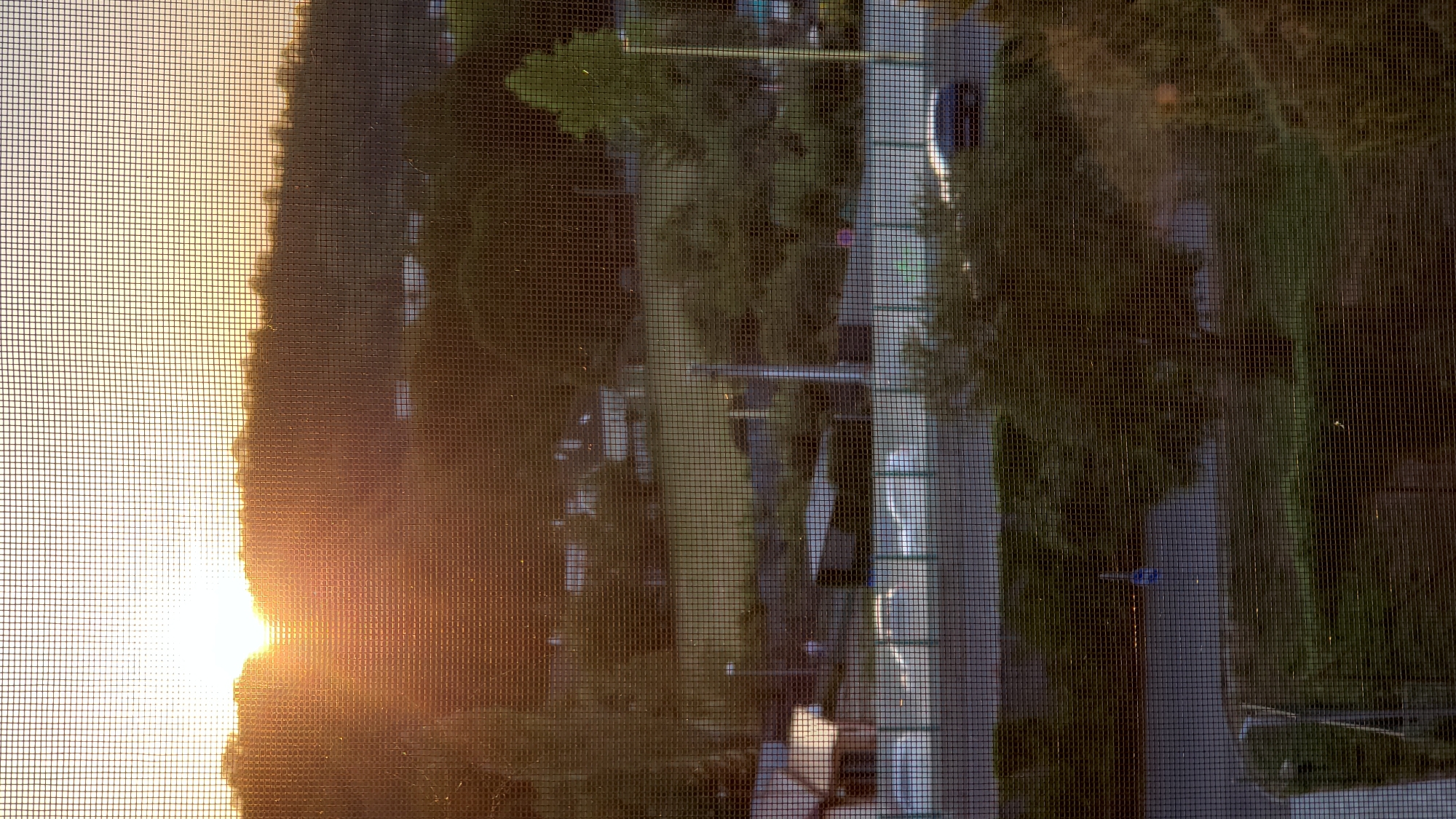 The image captures a sunset viewed through a window screen, looking out onto a suburban landscape. The sun is low on the horizon, casting a warm, orange glow through the trees and over a hill dotted with houses. In the middle ground, a road is visible with a few cars, and further back, there are more houses and trees. The foreground shows a lower section of the view, with some greenery and a glimpse of what appears to be a fence. The image is taken from a residential area in Prešov, Slovakia, likely from an apartment building or a house with a view of the sunset.