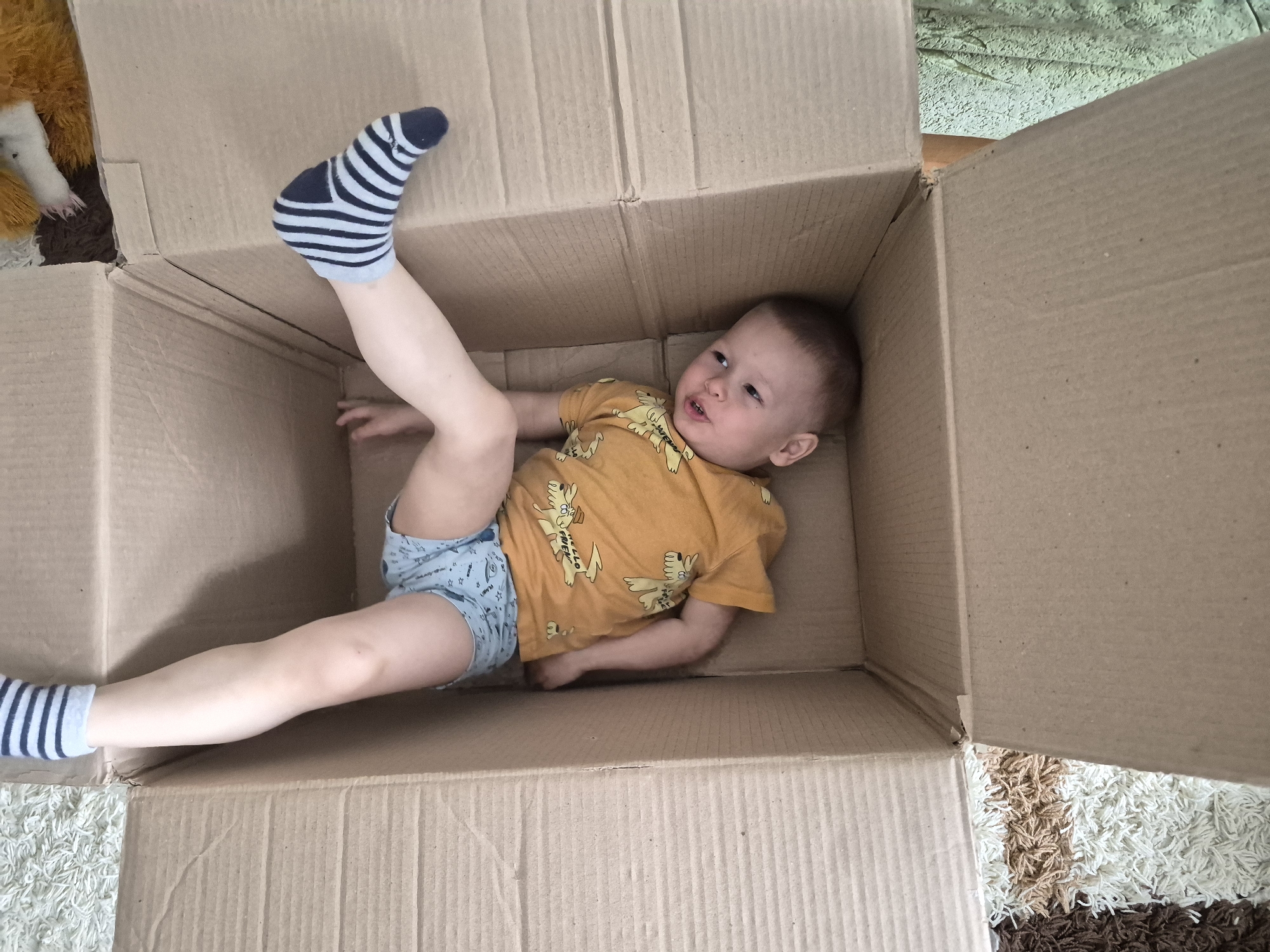 A young child is lying inside a cardboard box. The child is wearing a yellow t-shirt with a cartoon dog print and light blue shorts with a white pattern. The child has a striped sock on one foot which is raised in the air. The box appears to be brown cardboard. The location is unidentifiable from the given image.