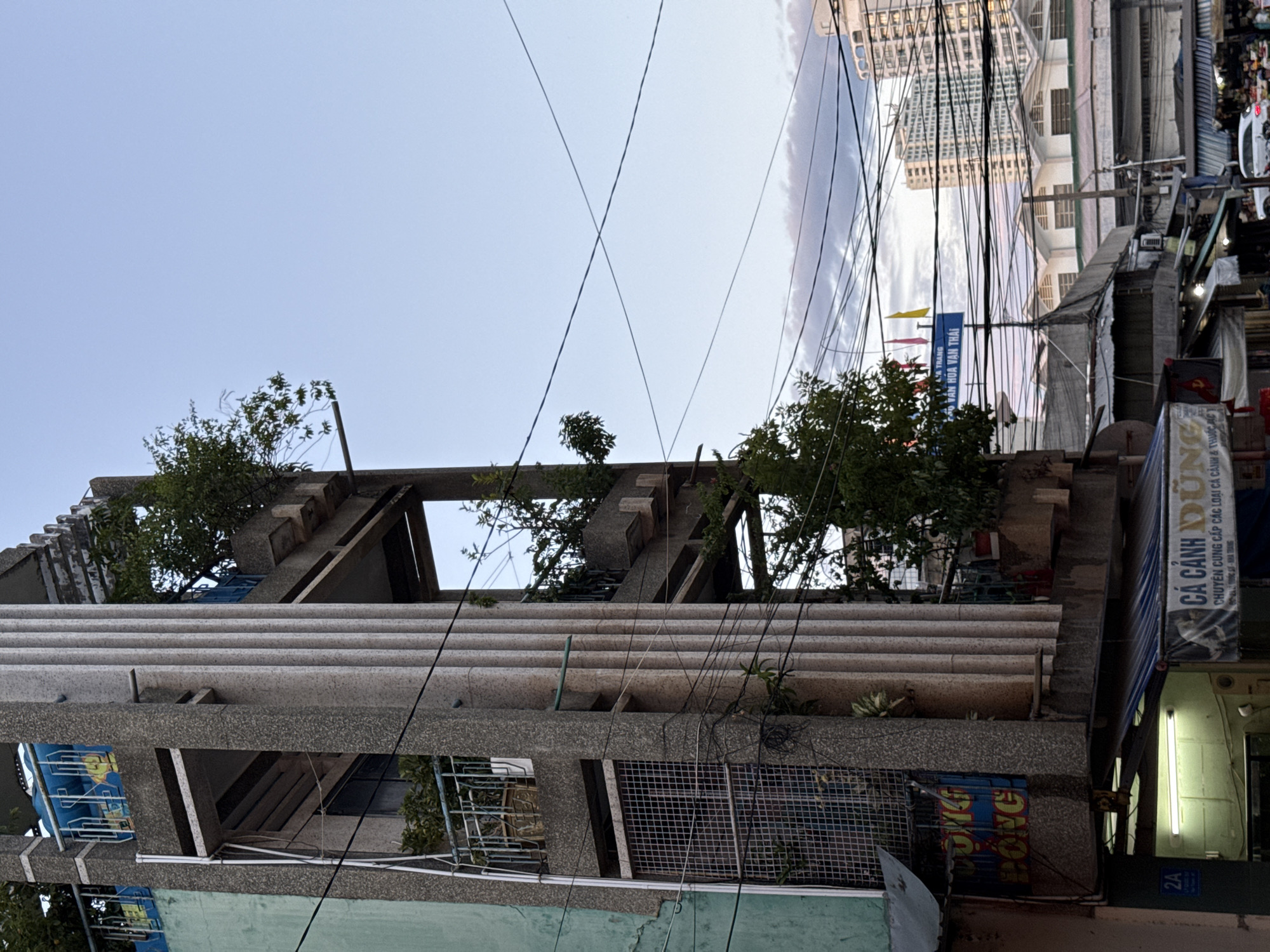 The image captures a street-level view in Nha Trang, Vietnam, looking upwards. A multi-story building with a unique, Brutalist-inspired architectural style dominates the left side of the frame. The building features a concrete facade with ribbed vertical columns and open balconies. Lush green plants and trees are growing on various levels of the structure, creating a stark contrast with the concrete.
Below the main building, awnings shade a street-level market or shop. Signs are visible, one in Vietnamese reading "CÁ CÁNH DŨNG" which translates to "fish cage strong." The lighting suggests it is late afternoon or early evening, with the sky displaying a soft, dusky blue with wispy clouds.
In the background, modern high-rise buildings are visible, indicating the presence of a more developed urban area beyond the immediate street scene. A complex network of electrical wires crisscrosses the sky, a common sight in many Vietnamese cities. No people are clearly discernible in the foreground, but activity is implied by the market stalls. The overall impression is one of a dense, vibrant urban environment where older architectural styles coexist with newer developments.