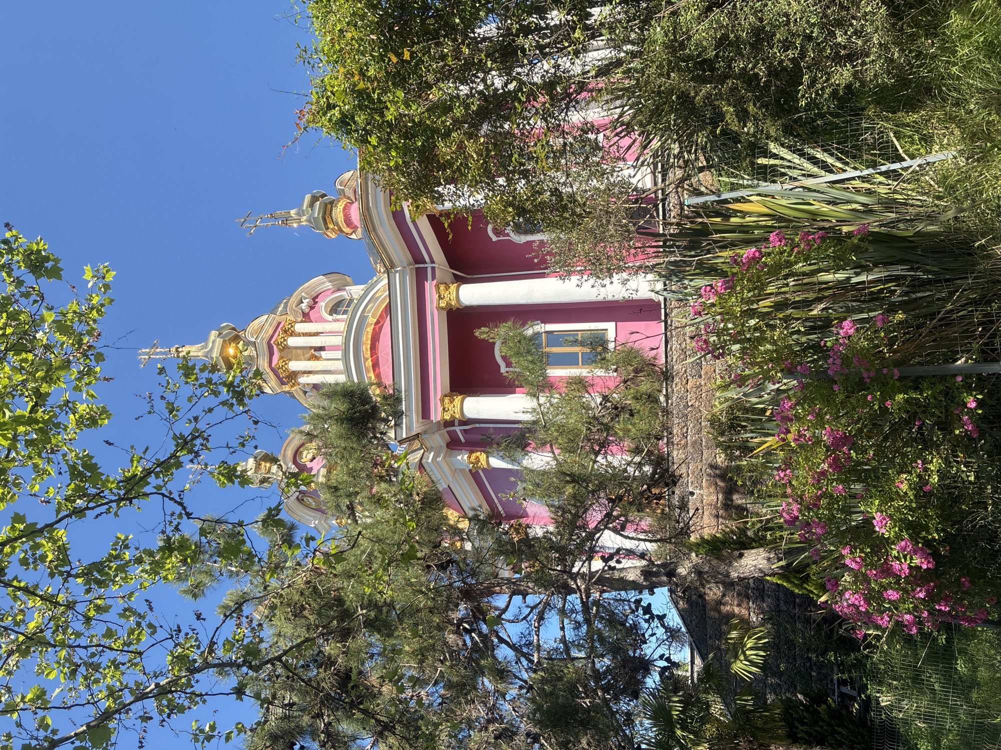 A vibrant, ornate church, likely the Church of St. Michael the Archangel, stands partially obscured by lush green foliage under a clear blue sky in Sochi, Russia. The building is predominantly pink and white, adorned with intricate golden details on its domes, spires, and columns. Several golden onion domes topped with crosses are visible against the sky, reflecting bright sunlight. White columns with golden capitals are prominent features on the church facade, which also includes arched windows.
The church is surrounded by a dense array of greenery. Various types of trees with broad green leaves and conifer branches frame the view, some with discernible pinecones. In the foreground and around the base of the church, bushes with clusters of small pink flowers add a touch of contrasting color. A wire fence or trellis is partially visible through the vegetation on the right side. The clear, bright blue sky suggests a sunny day, likely morning or early afternoon. No people or activities are depicted, and there is no visible text. The overall scene conveys a sense of beauty and architectural grandeur amidst a natural setting.