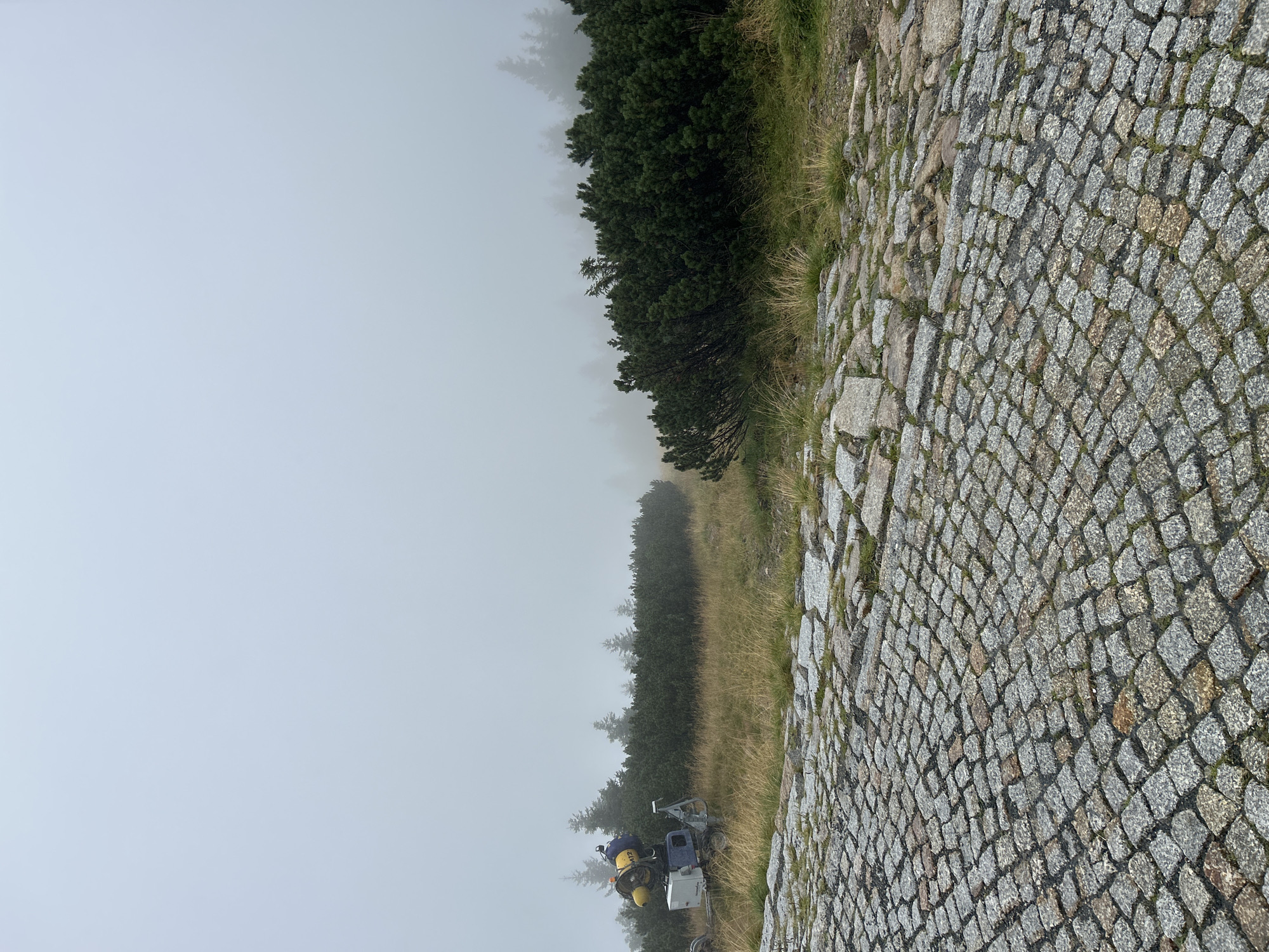 The image depicts a foggy mountain landscape with a cobbled path in the foreground. On the left side of the path, a snow cannon is visible, positioned on dry grass. Behind the snow cannon, a line of dense evergreen bushes extends across the middle ground, separating the foreground from a misty backdrop of evergreen trees. The sky is completely obscured by fog, creating a soft, diffused light. The cobbled path is made of irregularly shaped granite stones in various shades of gray and brown. The overall scene suggests a high-altitude location, possibly a ski resort or a mountain trail during an off-season or inclement weather. This scene is located on the western slope of Śnieżka mountain, near Karpacz, Poland.