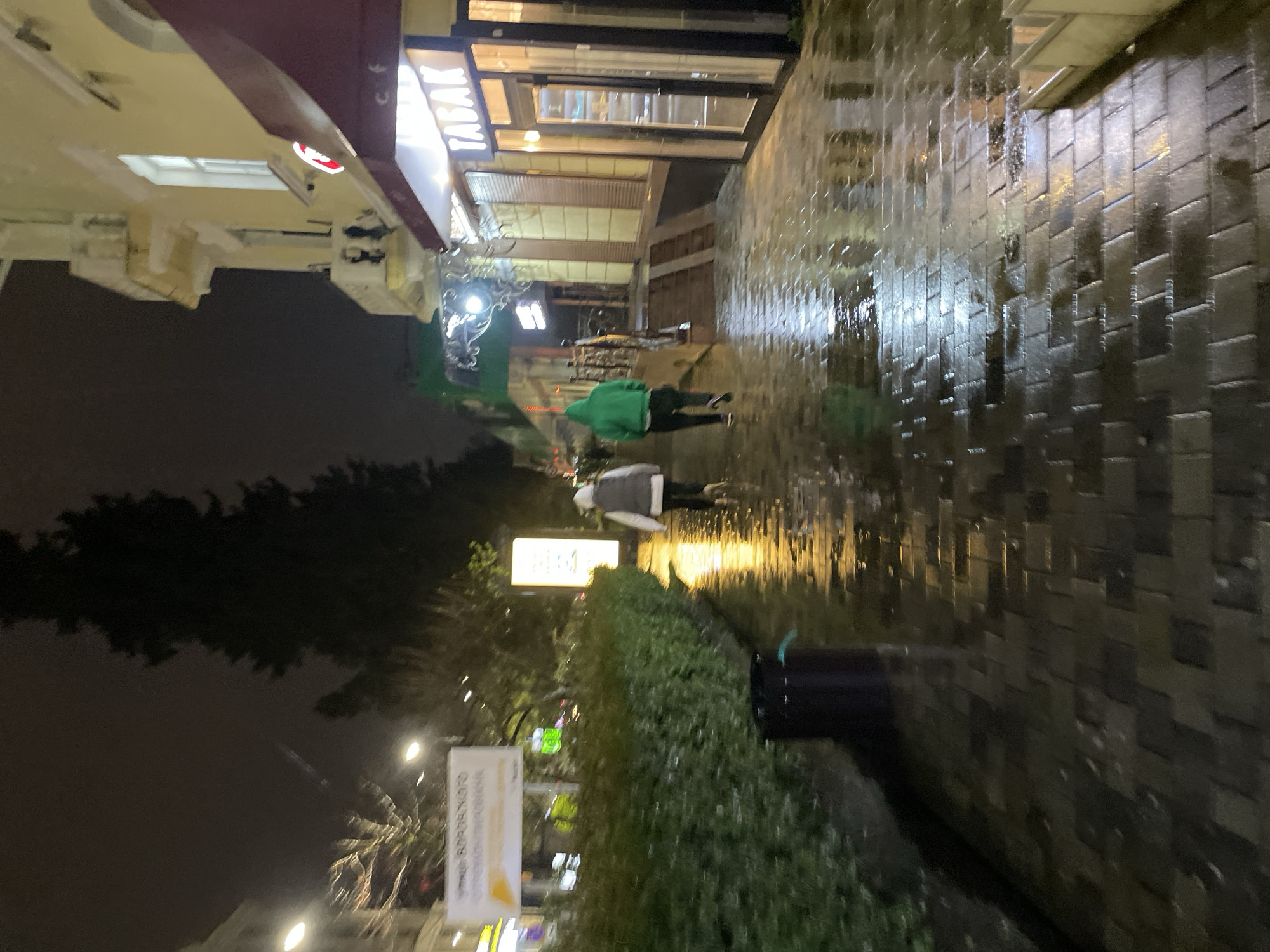 The image shows a street scene at night in what appears to be the city of Sochi, Russia. The street is paved with dark, possibly wet bricks, reflecting the artificial lights. A building with a storefront and a red awning marked "TABAK" is visible on one side of the street. Trees and shrubs are growing on the other side. Two people are walking on the sidewalk, one wearing a green hooded jacket and the other a light-colored jacket. A sign with unreadable text is present near the trees. It appears to be raining, or the street surface is wet. The overall impression is that of a quiet night on a city street.