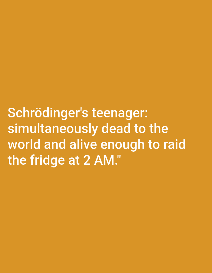 The image is a photograph of text overlaid on an orange background. The text reads: "Schrödinger's teenager: simultaneously dead to the world and alive enough to raid the fridge at 2 AM." There are no discernible features of Nowa Wieś Książęca, Poland, or any city in the image.