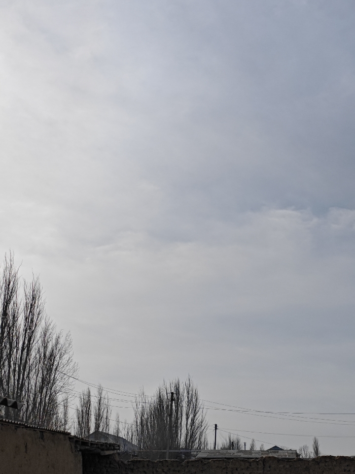 An overcast sky fills most of the frame. Below, the bare silhouettes of trees stand against the grayness. A low wall of rough texture stretches across the lower part, punctuated by glimpses of rooftops and utility poles. Power lines stretch across the scene, intersecting the bare tree branches. The overall impression is of a muted, wintery landscape.