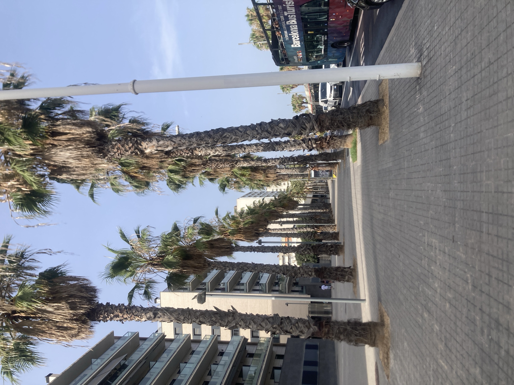 The image depicts a wide, paved sidewalk lined with numerous tall palm trees, characteristic of a coastal or Mediterranean city. On the left side of the frame, a modern, multi-story building with balconies and glass railings is visible. The sidewalk itself is constructed from grey rectangular pavers. A white lamppost stands prominently on the right side of the sidewalk, and further down the street, traffic can be seen, including a double-decker tourist bus labeled "Barcelona Bus Turístic" and other vehicles. The sky is clear and blue, suggesting a sunny day. The overall scene conveys a sense of an urban environment in Barcelona, Spain, likely a promenade or street near the coast. Two individuals are seen walking away from the camera in the distance on the left side of the sidewalk.