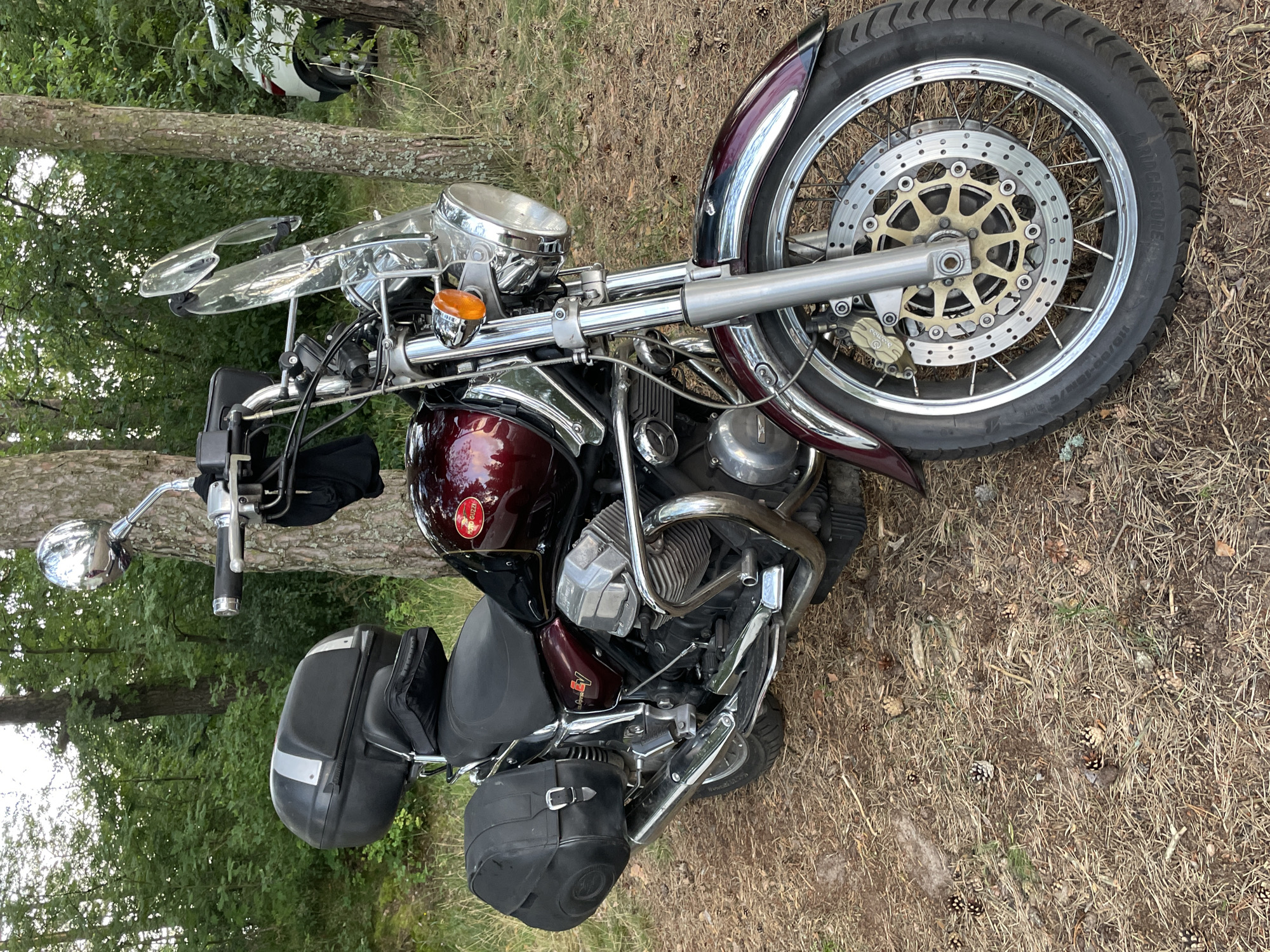 A red and black Moto Guzzi motorcycle is parked on a path covered in pine needles and pinecones in a wooded area. The motorcycle has saddlebags on both sides and a black top case. A clear windshield is attached to the handlebars. In the background, trees are visible, and a white car is parked behind some trees. The location is Zelenaya Roshcha, Russia.