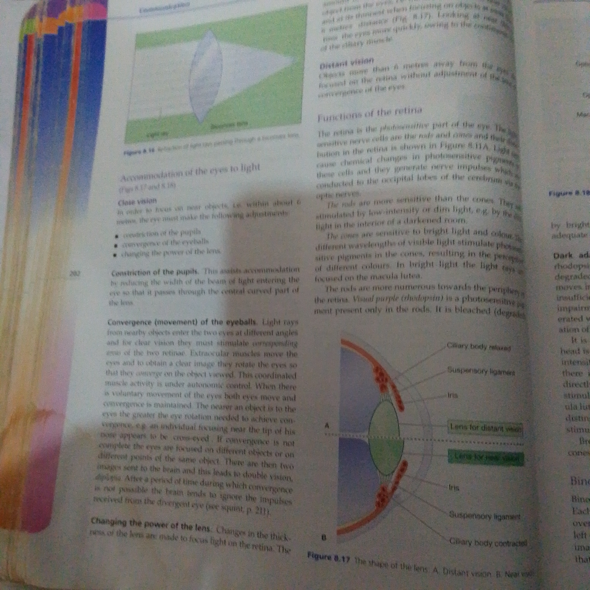 This media file is a scanned page from a textbook. The main subject is an illustration of the human eye, depicting its structure and how it functions in vision. The illustration is labeled with various parts of the eye, such as the iris, suspensory ligament, and ciliary body, and shows two states of the lens: one for distant vision and one for near vision.
The surrounding text discusses the accommodation of the eyes to light, focusing on close vision, distant vision, and the functions of the retina. It explains how the pupil constricts, the eyeballs converge, and the lens changes thickness to focus on objects at different distances. The text also details the roles of rods and cones in the retina, their sensitivity to light, and their function in color perception.
Visible text includes chapter headings, subheadings, figure captions, and explanatory paragraphs. Figure captions are "Figure 8.18" and "Figure 8.17 The shape of the lens. A Distant vision B. Near vision." There are no people, specific locations, time of day, weather, or emotions depicted as this is an educational illustration and text. The context of "Jalingo, Nigeria" is not discernible from the image itself.