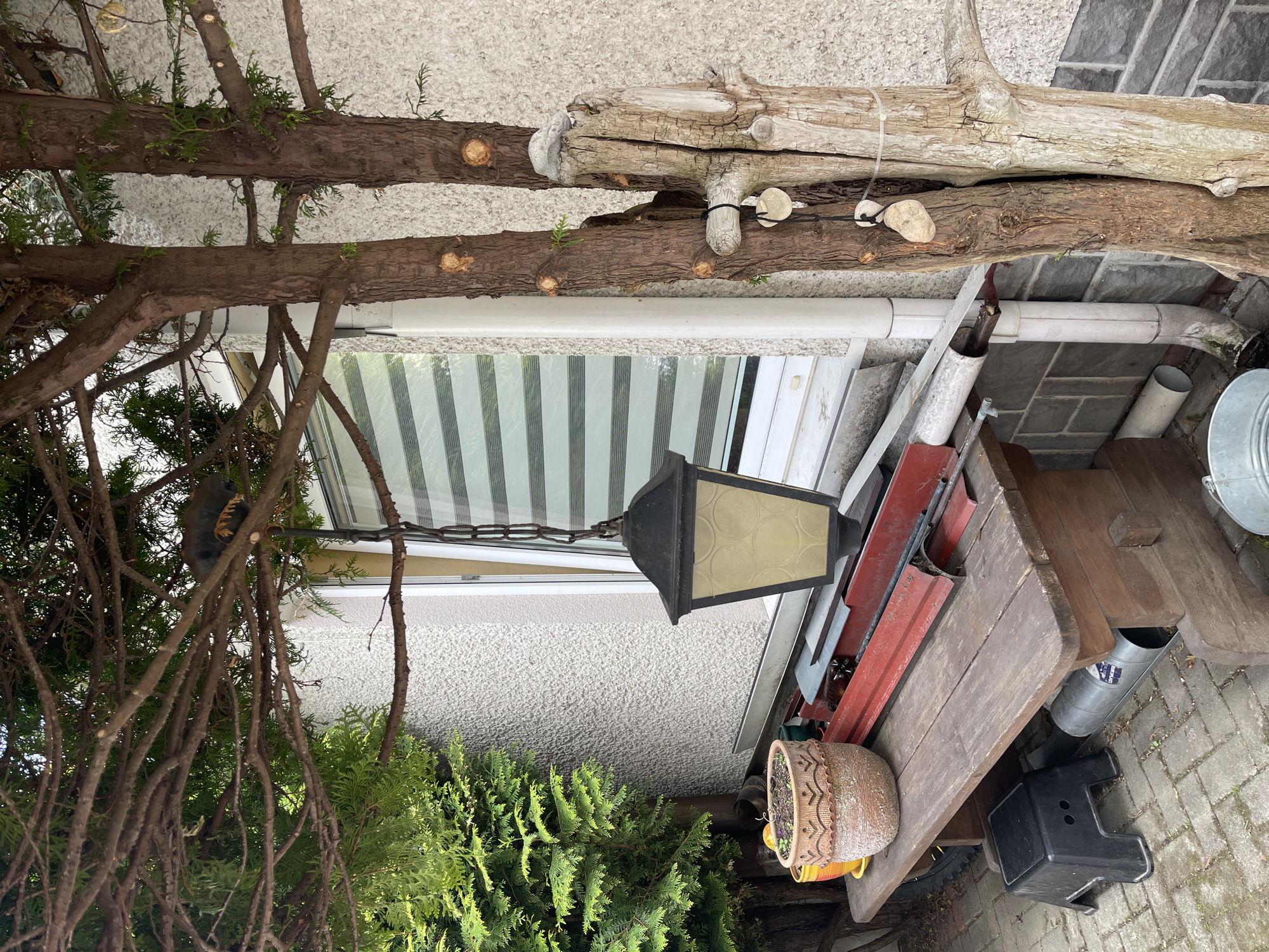 This outdoor scene, located in an unspecified urban area, depicts a cluttered space. A partially visible house exterior with a window covered by striped blinds is visible. A lantern hangs on a chain near the window. Discarded tree trunks and trimmed branches lie near the house. A wooden table covered with metal pipes, a bucket, a black plastic step stool, and a ceramic pot with plants are nearby. The scene is overgrown with evergreen trees and shrubs.