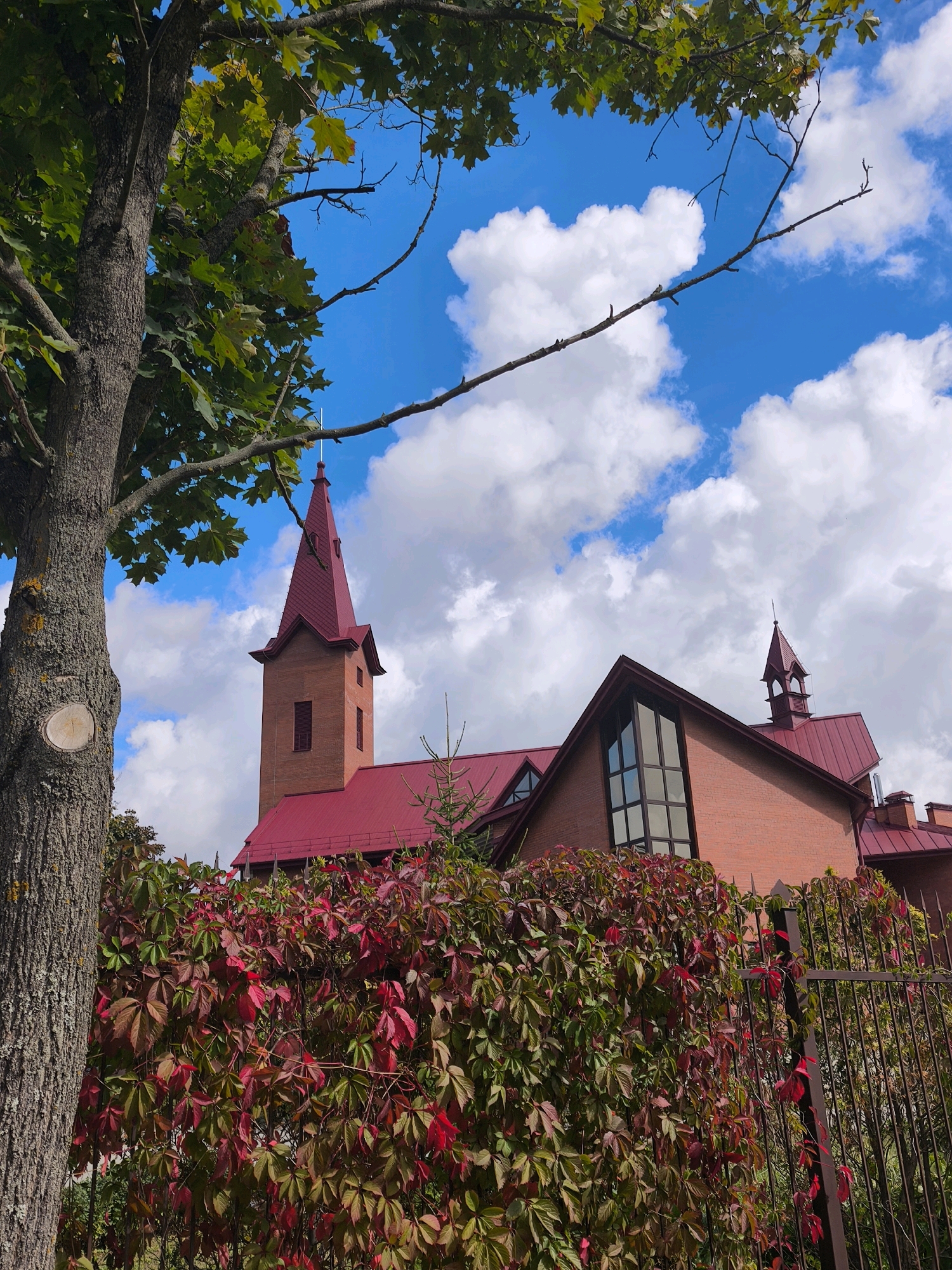 An outdoor, eye-level, vertical medium shot captures a brick building with a red roof and a tall, pointed steeple under a bright blue sky with white clouds. A large tree with green leaves and a textured gray trunk stands to the left, partially obscuring the view. In the foreground, a dense hedge of ivy with red and green leaves covers a black metal fence. The architectural style suggests a church or similar religious building, possibly located in Mahilyow, Belarus, given the context of the request. No people are visible in the image. The scene is brightly lit by natural sunlight.