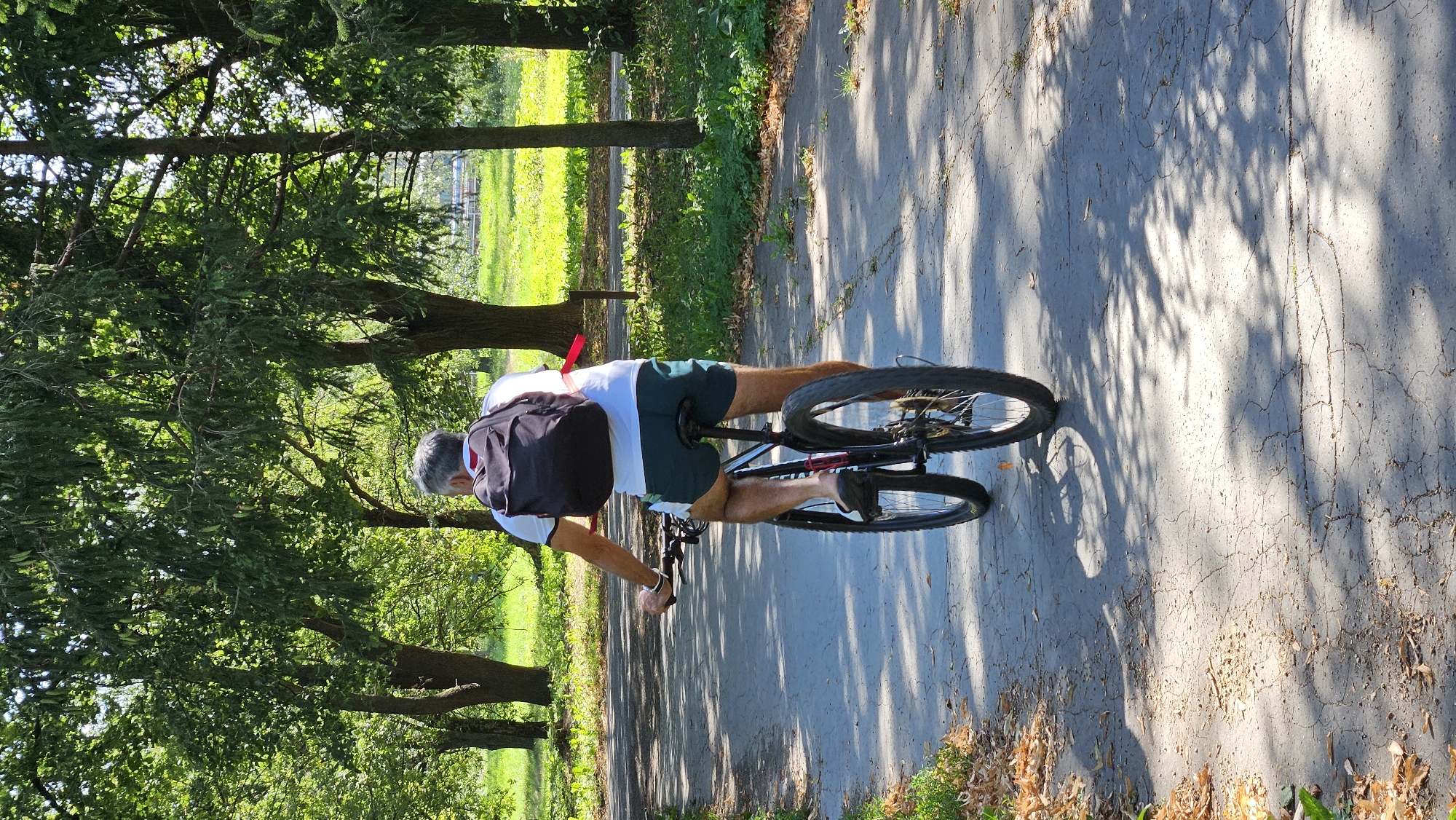 A man with gray hair is riding a bicycle on a paved path in a park. He is wearing a white t-shirt, dark green shorts, and a black backpack. The path is lined with trees and grass. The sun is shining, casting shadows on the path. The man is positioned facing away from the camera, and he is the sole subject in the image. The scene appears to be a casual outdoor activity in a well-maintained park.