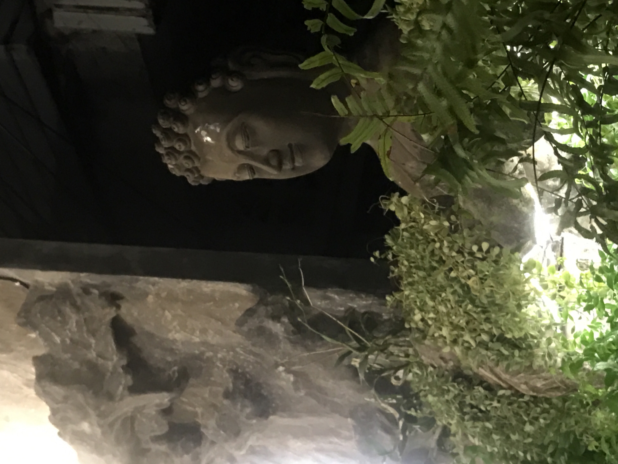 A head of Buddha statue sits atop a stone structure, surrounded by greenery. The location is inferred to be Baan Mae Nam, Thailand. The statue is predominantly gray. The foliage is dense and various shades of green, with some leaves obscuring parts of the statue. The background is dark, suggesting nighttime or a dimly lit area.