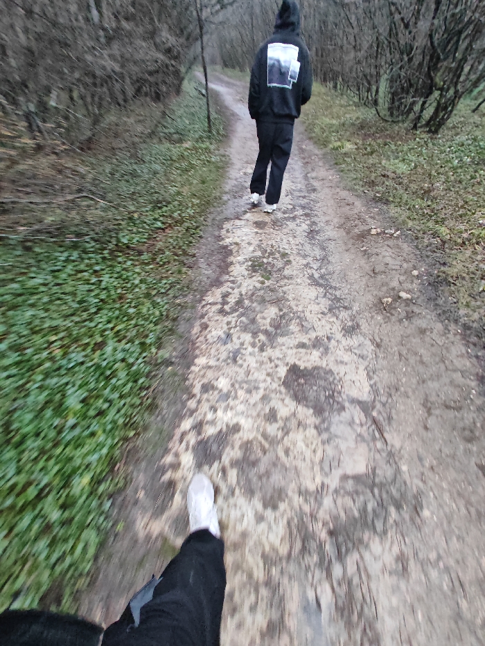 The image depicts a first-person perspective of two individuals traversing an unpaved dirt path within a wooded area in Shumen, Bulgaria. Specific identifying landmarks within Shumen are not discernible. The environment suggests a temperate climate during late autumn or winter, characterized by leafless deciduous trees and a diffused, overcast sky.
In the immediate foreground, the right leg and foot of an unseen individual are visible, wearing black trousers and a white sneaker, positioned mid-stride on the path, moving forward.
Approximately 10-15 meters ahead, a second individual is observed from behind, walking in the same direction. This person wears a dark, presumably black, hooded sweatshirt with the hood drawn over the head, obscuring facial features. The back of the sweatshirt features a distinct rectangular graphic composed of light-toned geometric or landscape-like elements against a darker background. This individual also wears dark trousers and white athletic shoes. Their posture suggests a casual walking pace.
The path is a natural dirt track, exhibiting varying textures of compacted soil, mud, and scattered organic debris. Patches of lighter, dry earth contrast with darker, damp sections, suggesting recent moisture. To the immediate left of the path, a dense spread of low-lying, vibrant green vegetation, resembling ground cover, carpets the forest floor. Both sides of the path are lined with numerous slender, bare-branched deciduous trees and dense undergrowth, creating a natural, enclosed corridor. No discernible interactions between the individuals or specific objects are evident beyond their shared movement along the path.