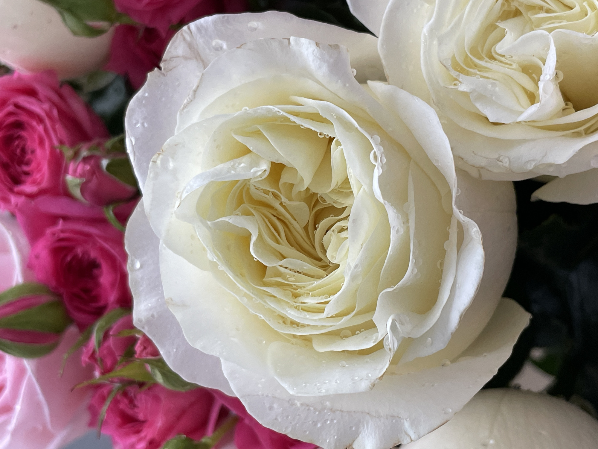 The image is a close-up shot of several roses. The main subject is a large, predominantly white rose in full bloom, covered in small water droplets. To the left of the white rose are smaller, vibrant pink roses. Another white rose is partially visible to the upper right. The background is blurred, and the overall composition suggests a bouquet arrangement. There is no indication of the location as Izhevsk, Russia.