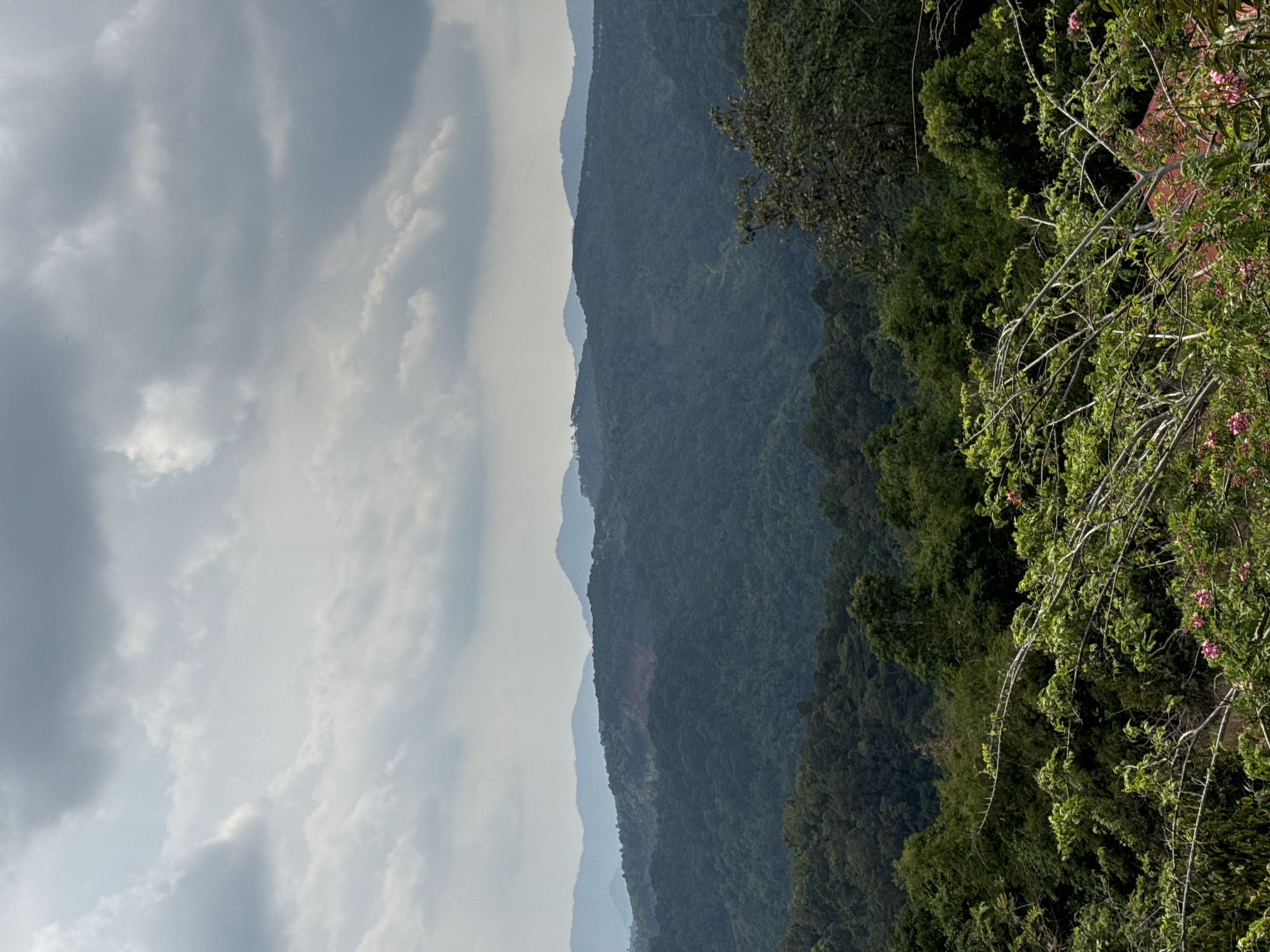 This landscape image, likely taken in Sơn Điền, Vietnam, captures a serene mountainous vista under a cloudy sky. The scene is dominated by layers of forested mountains receding into the distance, creating a sense of depth and vastness.
In the immediate foreground, on the right side of the image (when viewed upright), are leafy branches and twigs from a tree or shrub. Among the vibrant green foliage, several small pink flowers are visible, adding a touch of color to the otherwise green and blue-grey palette. The branches are intricate, with some appearing bare while others are covered in leaves.
The mid-ground is filled with rolling hills and mountains, densely covered in dark green forests. These mountains exhibit atmospheric perspective, with closer ranges appearing a darker, richer green, and successive layers becoming progressively lighter, bluer, and hazier as they stretch towards the horizon. The distinct silhouettes of these mountain ranges create a layered pattern against the sky.
The left portion of the image (when viewed upright) is filled with a cloudy sky. The clouds vary in density and brightness, with patches of bright white juxtaposed against areas of soft grey, suggesting an overcast or partly cloudy daytime. The diffused light indicates it is daytime, likely late morning or afternoon, without the harsh shadows of midday sun or the vibrant colors of sunrise or sunset.
There is no specific activity or event taking place, and no people or man-made objects are distinctly visible, emphasizing the natural beauty and untouched quality of the landscape. No visible text is present in the image. The overall impression is one of tranquility and natural grandeur.