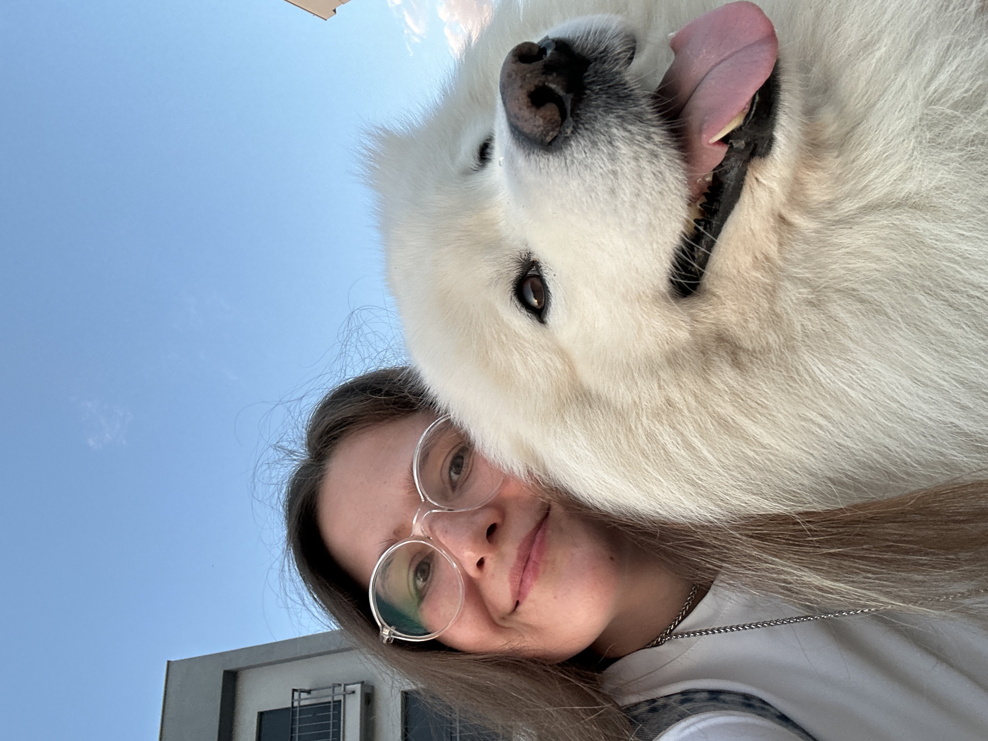 A low-angle, selfie-style photograph captures a young woman and a large, fluffy white dog against a bright blue sky, taken in Šušanj, Montenegro. The subjects occupy the majority of the frame, with the woman positioned in the lower-left and the dog above her.
The woman has long brown hair and wears clear, round-framed glasses, through which her eyes are visible. She has a subtle smile, indicating a gentle and pleasant expression. She is wearing a white top and a silver chain necklace is visible around her neck.
Adjacent to and slightly above the woman's head is the dog, likely a Samoyed, characterized by its dense white fur. Its head is tilted, revealing its dark eyes, black nose, and an open mouth with a pink tongue lolling out, suggesting playfulness or happiness. The dog's fluffy fur blends seamlessly with the woman's hair in parts.
The background primarily consists of a clear, bright blue sky with a few faint wisps of white clouds, indicating sunny weather during daytime, likely morning or afternoon. In the lower-left corner, a partial view of a modern building structure is visible, featuring grey concrete elements and a dark rectangular panel, possibly a window or solar panel, with a metal frame. There is no visible text in the image. The overall mood is affectionate and joyful, capturing a close bond between the woman and her canine companion outdoors.