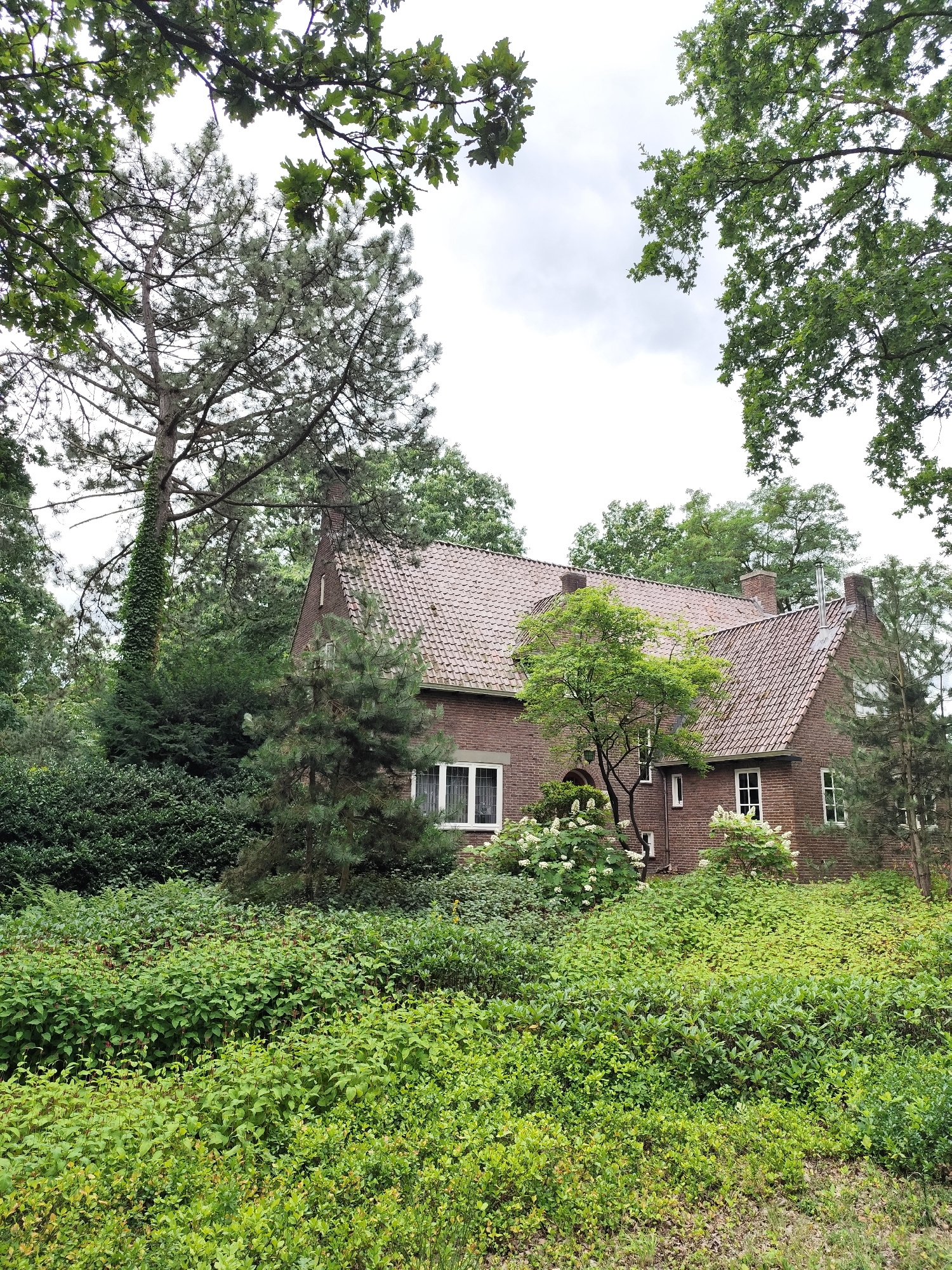 The image shows a brick house with a tiled roof, nestled amongst lush greenery and mature trees in Schaijk, Netherlands. The house has several windows, some with white frames and others with darker frames, and a prominent chimney. The foreground is dominated by dense, green bushes and smaller trees, creating a natural, almost wild, garden setting. In the background, taller trees, including a pine tree with ivy climbing its trunk, and broad-leafed trees, surround the property. The sky is overcast with clouds. No people are visible in the scene.