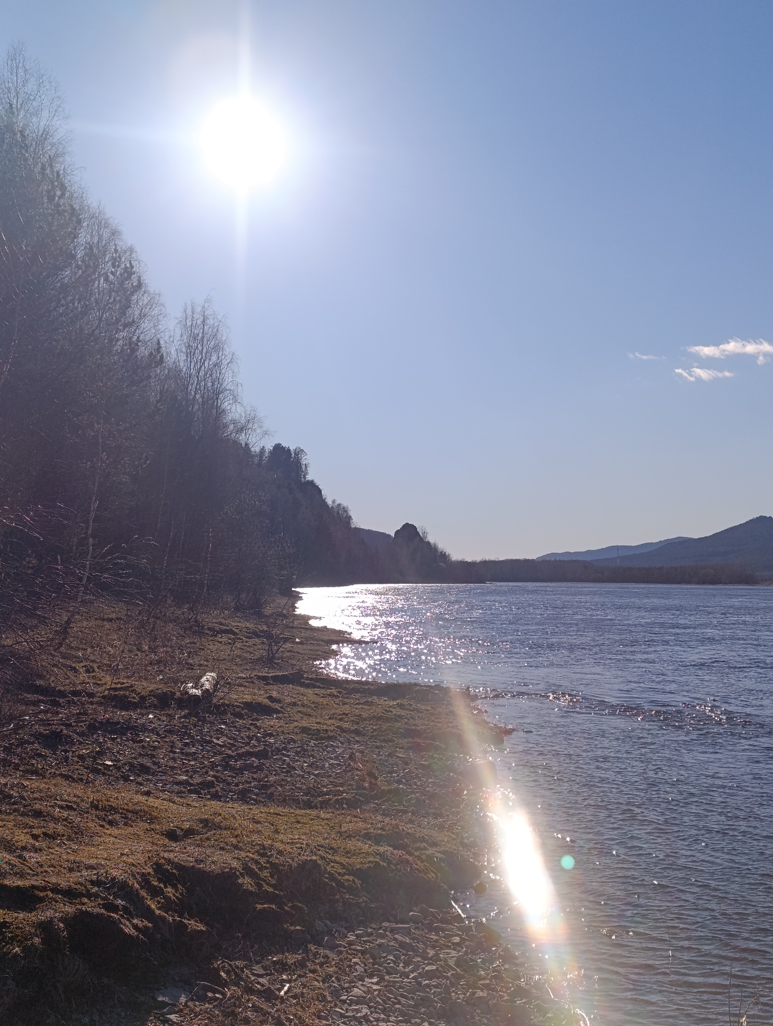 The image shows a riverbank in Krasnoyarsk, Russia, under a bright sun. The river reflects sunlight, causing a shimmering effect on the water's surface. A rocky and mossy shoreline leads to a wooded area on the left, contrasting with the open water on the right. Mountains are visible in the distance across the river. The sky is clear blue, with one small cloud. A fallen tree trunk is visible on the shore.