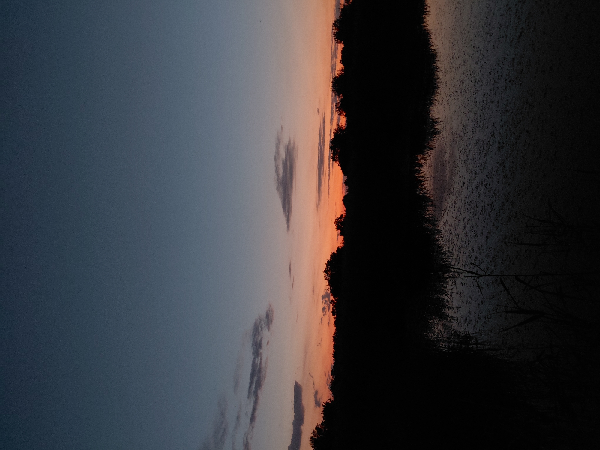 The image depicts a twilight scene over a body of water, likely a lake or marsh, in Ustyvytsia, Ukraine. Silhouetted trees form a dark line along the horizon, against a sky that transitions from a deep blue at the top to a soft orange and pink hue near the horizon. Wisps of clouds are scattered across the sky. The surface of the water reflects the colors of the sky and the dark silhouettes of the trees. Reeds and other aquatic plants are visible in the foreground, emerging from the water and casting shadows. The overall atmosphere is calm and serene, characteristic of a natural landscape at dusk.