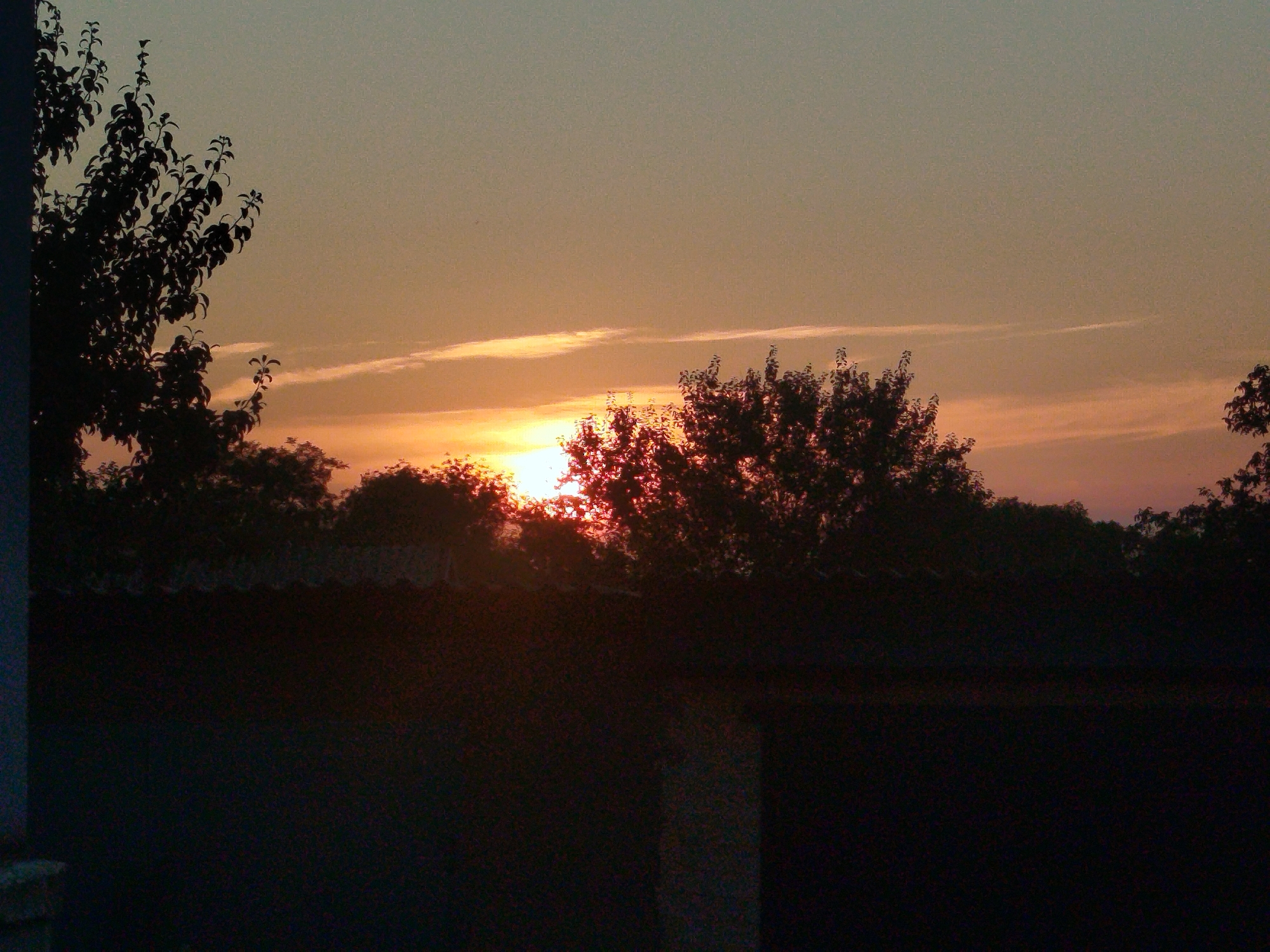 This is a medium shot of a sunset in Verkhnodniprovsk, Ukraine. The sun is partially obscured by trees and appears as a bright, reddish-orange glow on the horizon. There are thin, elongated clouds streaking across the pale orange sky. Silhouetted trees with dark foliage fill the foreground and midground, with a dark, textured surface, possibly a fence or wall, running across the bottom of the frame. The overall impression is one of natural beauty at dusk.