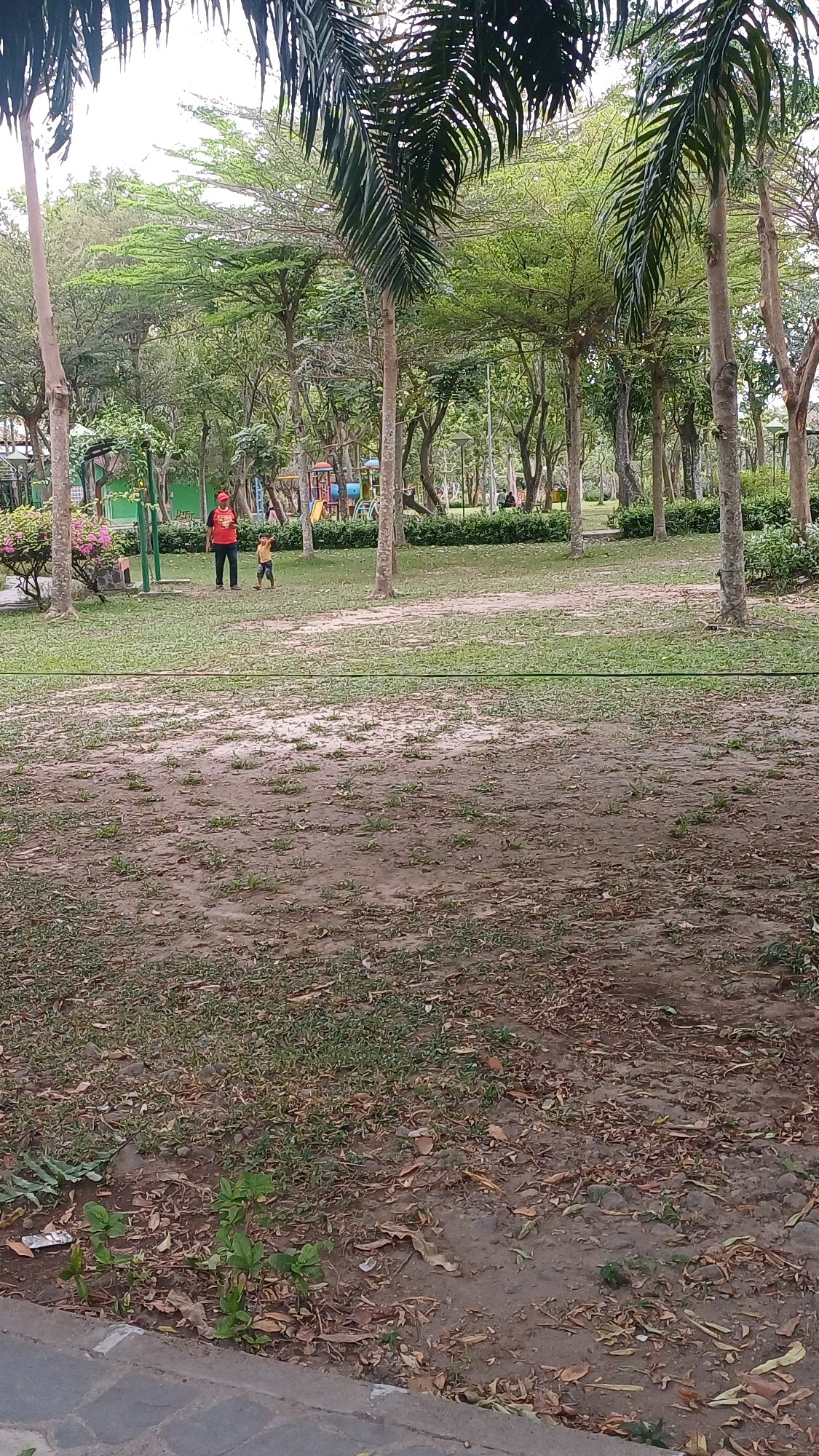 The image shows a park area with several palm trees and other deciduous trees. In the middle ground, two people are visible: an adult wearing a red shirt and a red hat, and a child in a yellow shirt. They appear to be walking in the park. Behind them, playground equipment with colorful slides and structures is present, suggesting a public recreational space. The ground in the foreground is a mix of dry soil, scattered leaves, and patches of sparse grass. In the background, more trees create a dense canopy, and some streetlights are visible. The scene captures a moment in a park in Gergunung, Indonesia, characterized by its natural elements and recreational facilities.