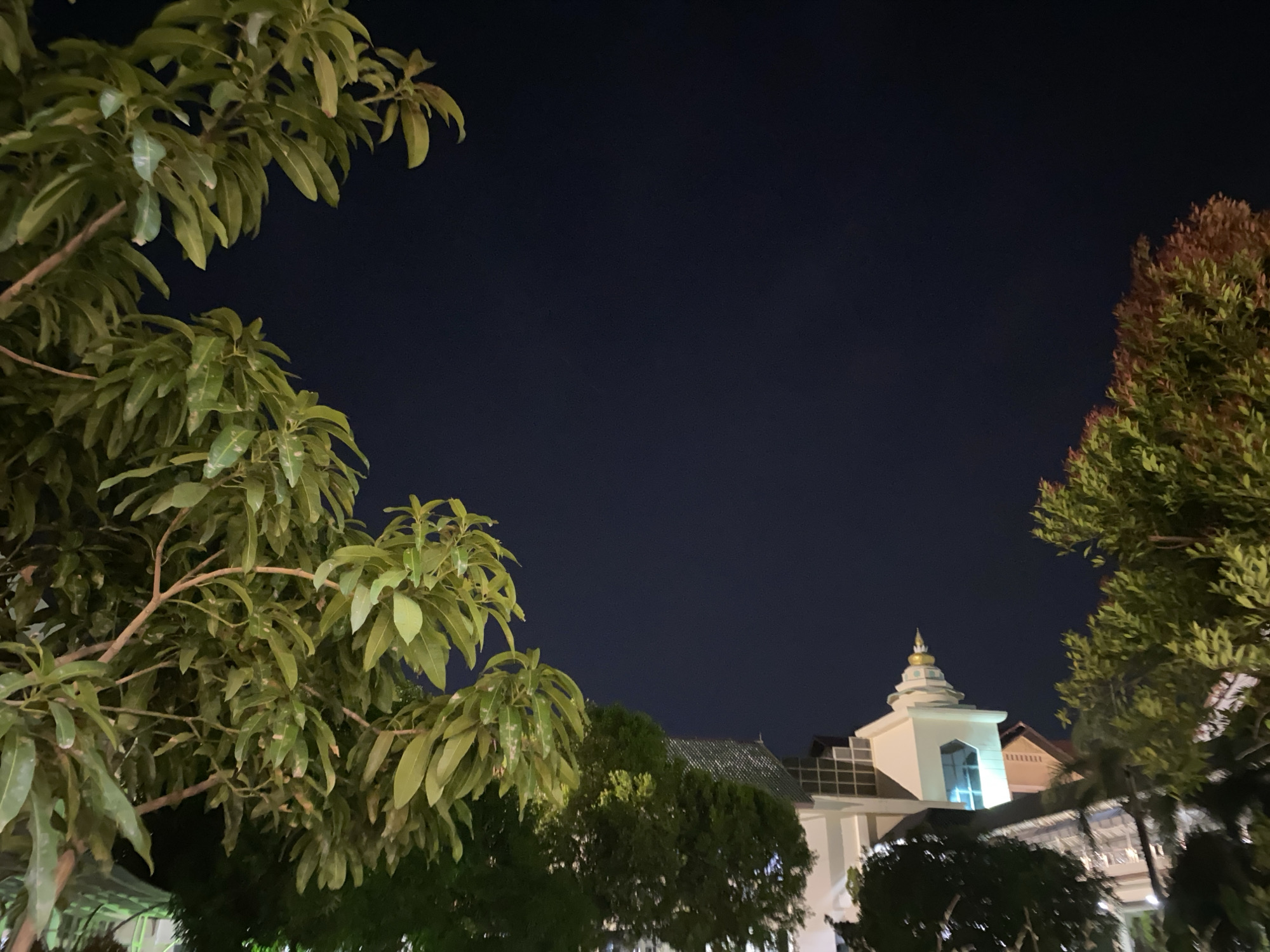 An outdoor nighttime photograph features a dark blue sky with several trees in the foreground and middle ground. The trees on the left are lush and green with broad leaves, while the tree on the right has a mix of green and reddish-brown foliage. In the middle ground, a building with a white facade and a distinct architectural element at the top is visible. This element is a tiered structure with a golden dome. The building is illuminated, highlighting its windows, some of which appear to glow with a blue light. The overall scene suggests an urban or suburban setting at night, possibly near a religious or institutional building, with the trees providing a natural frame for the architectural elements. The lighting in the image is artificial, coming from the building and possibly other unseen sources, creating a contrast between the dark sky and the illuminated structures.