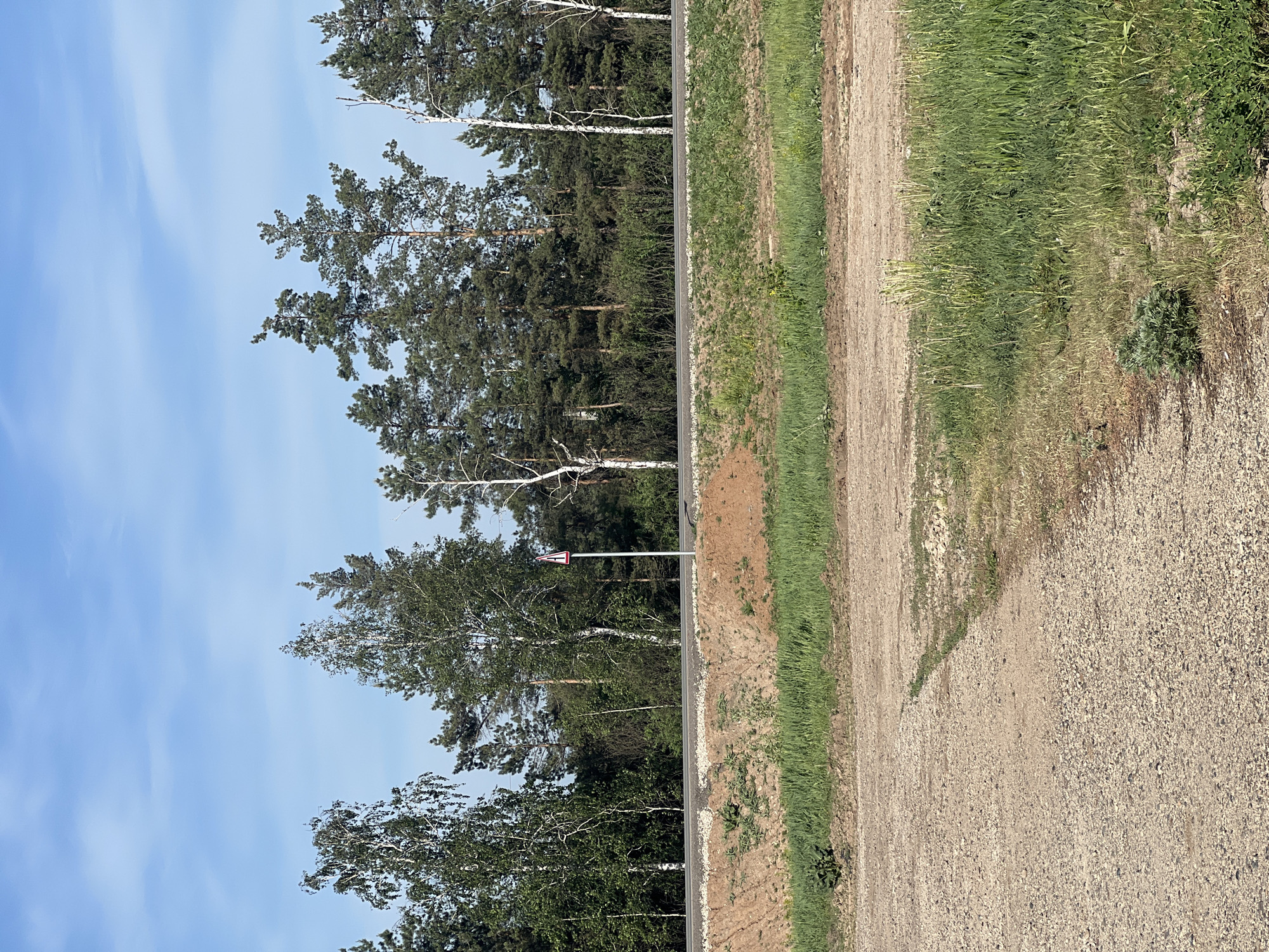 A gravel road runs through a wooded area in Бизяки, Russia. The road, textured with small stones, is bordered by a grassy verge on one side. Beyond this verge, trees including birch with distinctive white bark and conifers create a dense forest line. A road sign stands amidst the trees. The sky above is a clear blue with wispy clouds.