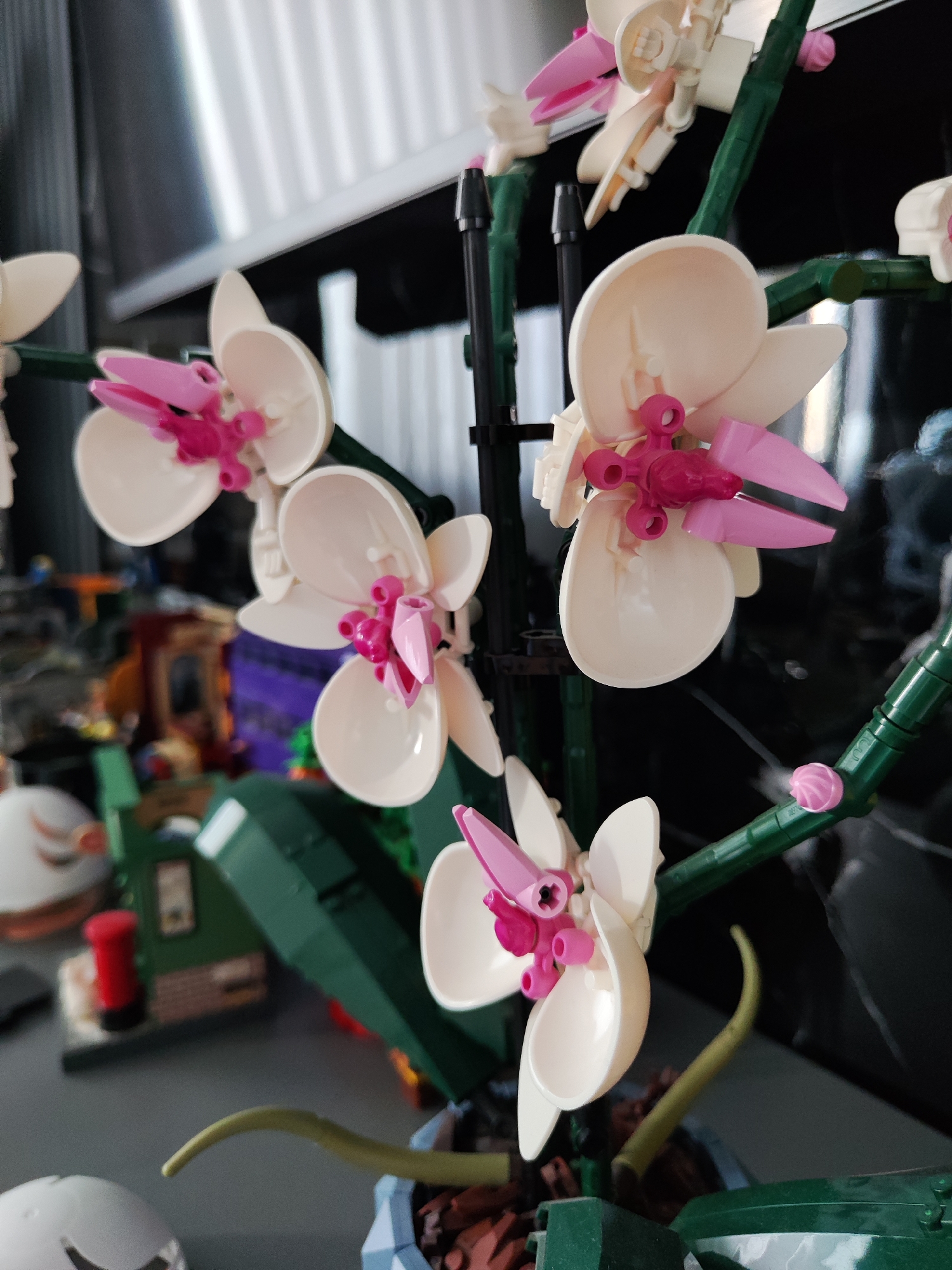 The image shows a close-up of a Lego orchid model, with several white and pink flowers and green stems. The model is placed on a grey surface, with a blurred background that suggests an indoor setting. Other Lego structures and objects are visible in the background, but they are out of focus. There are no people or animals present in the image. The lighting appears to be natural, coming from the left side of the frame. The scene does not contain any elements that would place it in a specific city or country, including Tashkent, Uzbekistan.