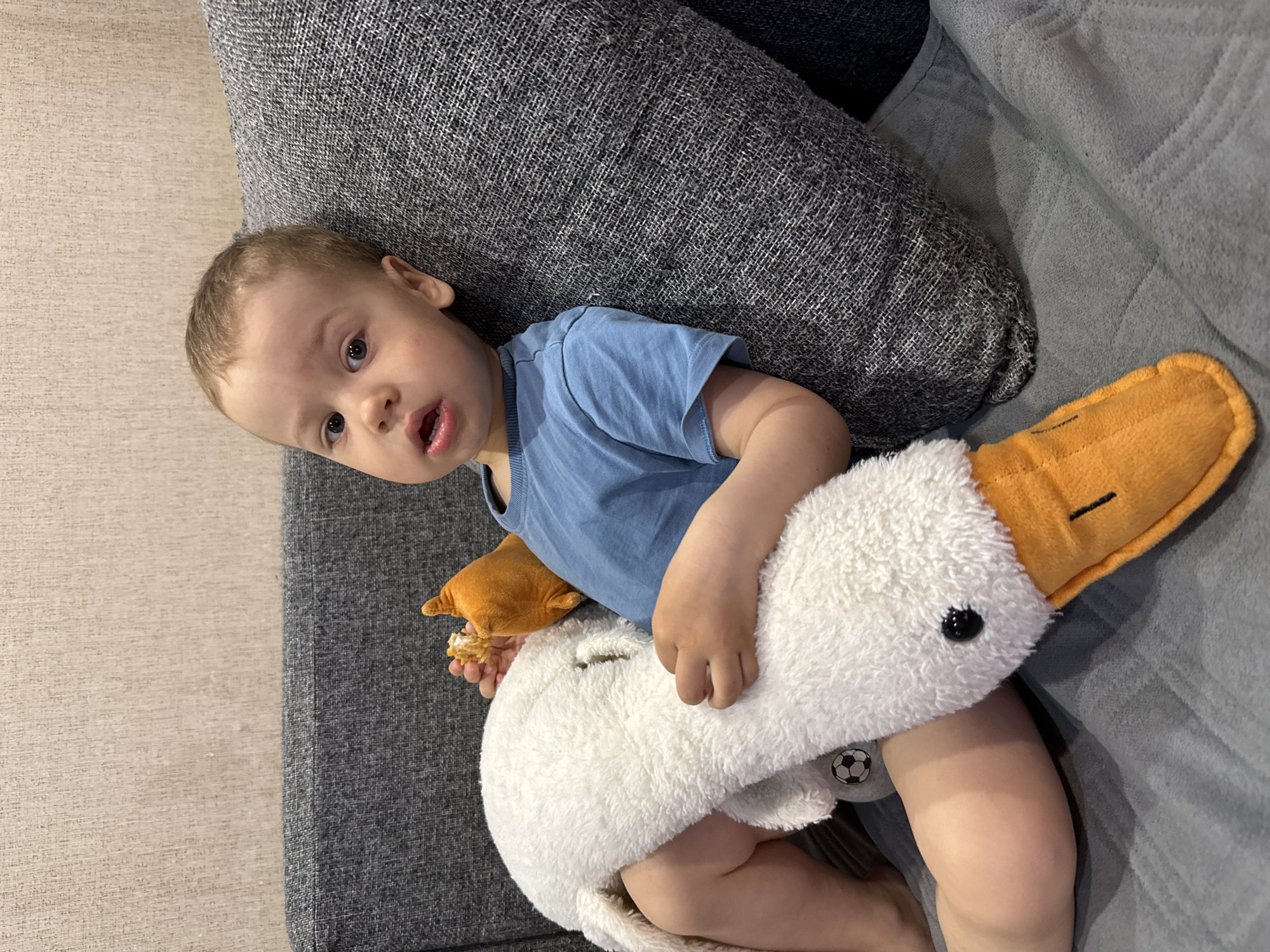 A toddler wearing a blue t-shirt lies on a gray sofa, possibly in a residential interior, clutching a white plush toy goose with an orange beak. The child is looking towards the camera with a slightly open mouth. The sofa is made of gray fabric and has a large cushion behind the child. Rusanovo, Russia is not verifiable from the image.