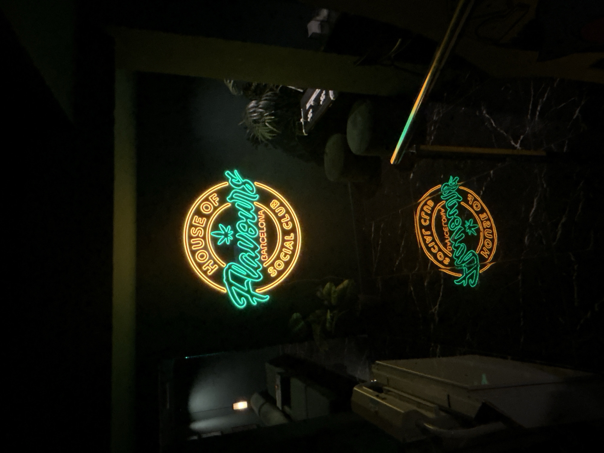 This is a dimly lit interior shot of a social club in Barcelona, Spain. The main subject is a neon sign that reads "HOUSE OF FLAVOURS BARCELONA SOCIAL CLUB" in a circular arrangement. The words "HOUSE OF" and "SOCIAL CLUB" are in orange neon, forming the outer circle. The word "FLAVOURS" is in bright green neon script, with a cannabis leaf symbol in the center. Below "FLAVOURS" and above "SOCIAL CLUB," the word "BARCELONA" is also in orange neon.
To the left of the neon sign, there is a dark green sofa with a small table on it, and a single hanging lamp. Further left, a portion of a doorway or partition is visible, with a metal railing along the bottom.
To the right of the main neon sign, there are two dark green circular stools and a table with some objects on it, possibly relating to the club's activities. A large, dark green leafy plant is also present.
On the floor, which appears to be a dark, marbled surface, a second, smaller neon sign is visible, mirroring the first one but appears reversed or viewed from the back. It reads "SOCIAL CLUB BARCELONA FLAVOURS HOUSE OF" in a similar color scheme.
A metal railing with green and orange neon lights running along it is prominent in the foreground, indicating a stairway or passage. The overall atmosphere is dark and moody, with the neon lights providing the primary illumination.